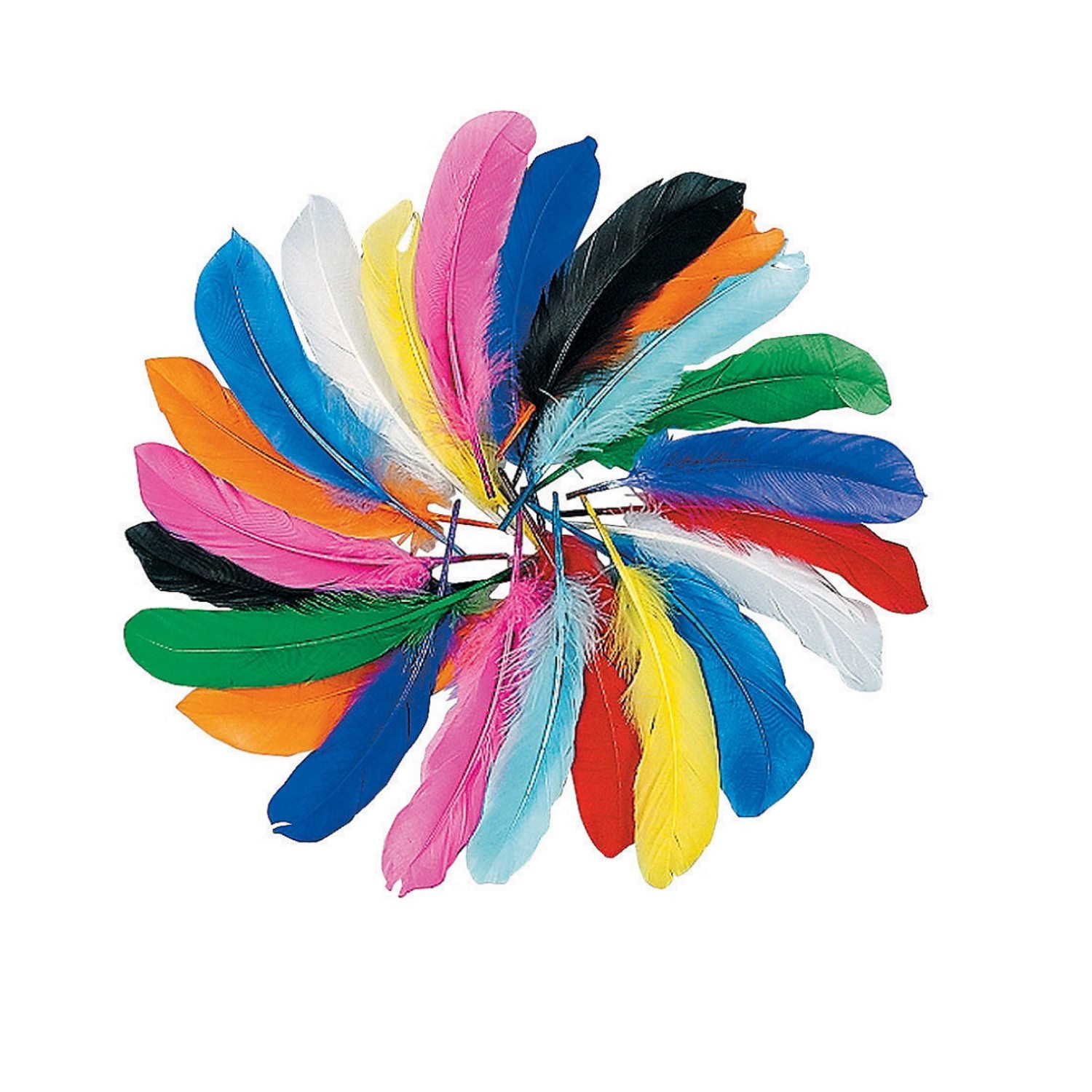 Coloured Feathers