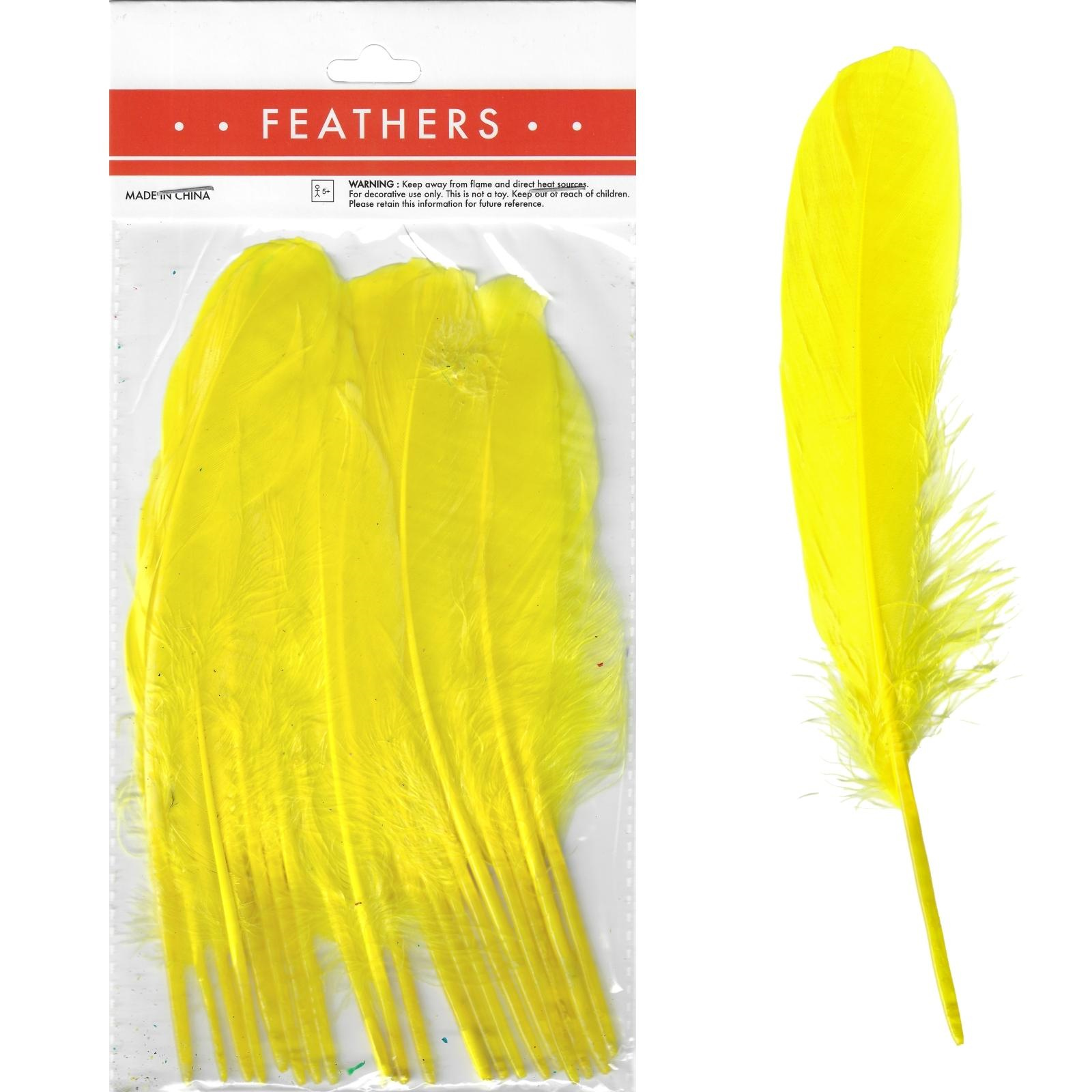 Yellow Feathers 17cm