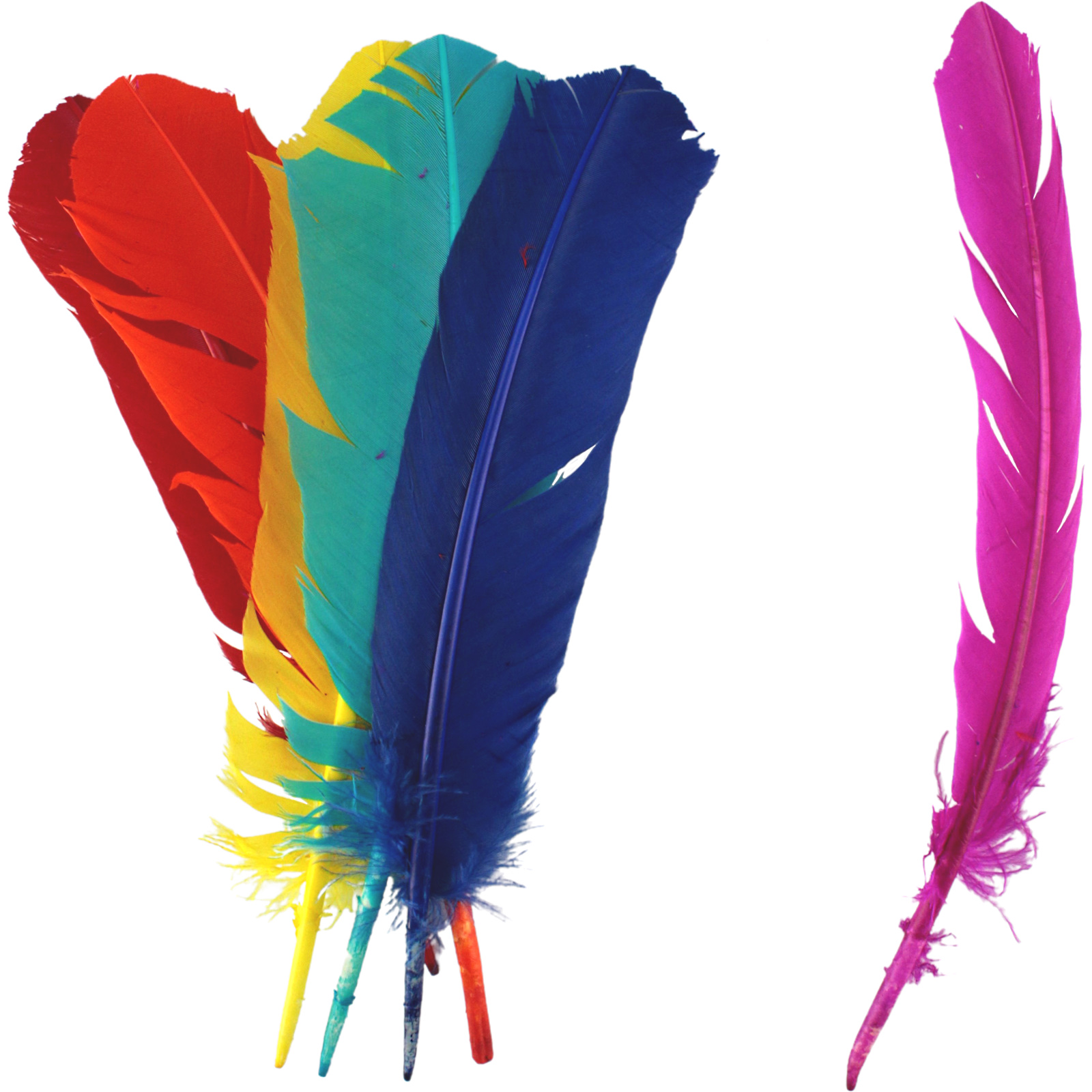 Coral coloured feathers on sale