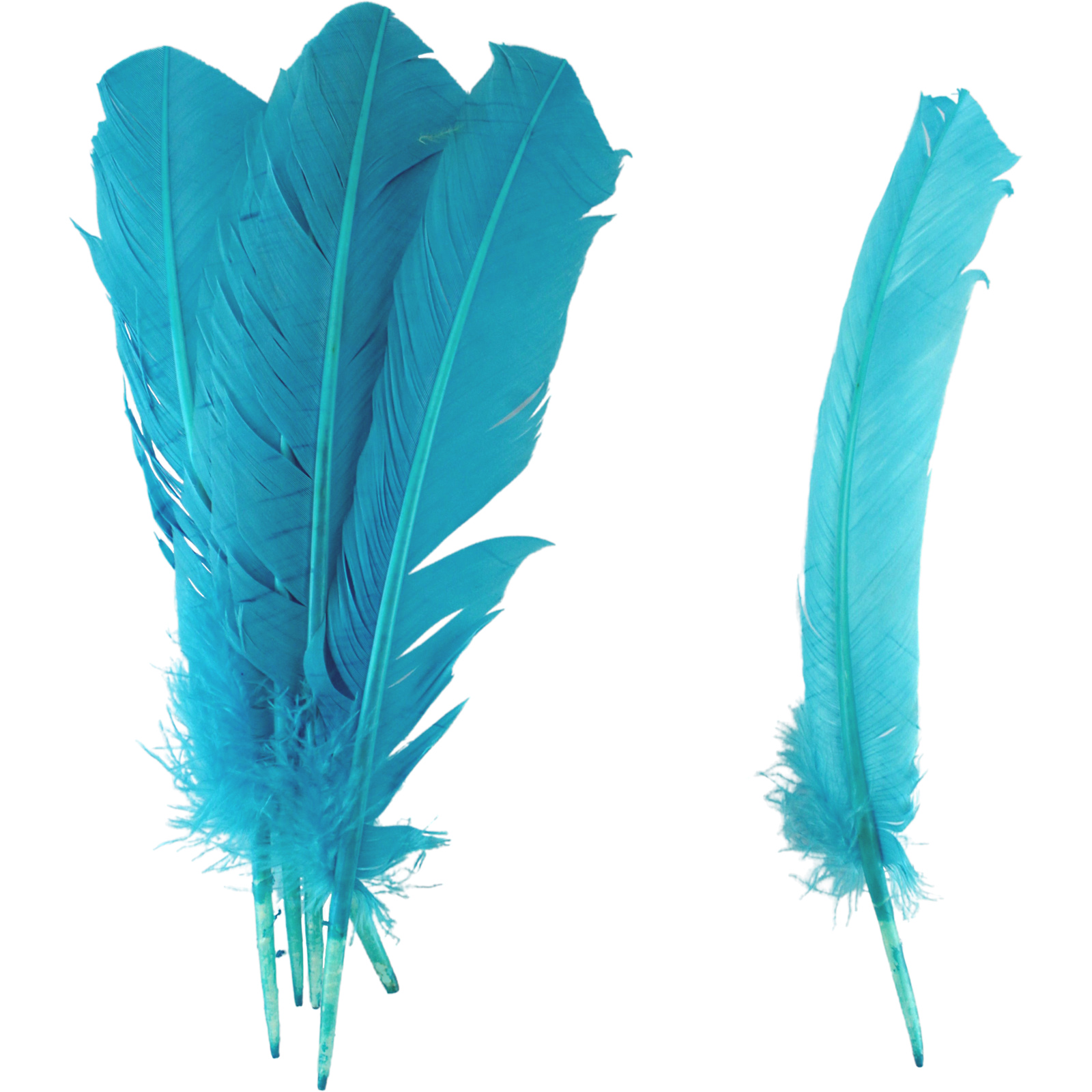 Blue Feathers 28cm (Pack of 6)
