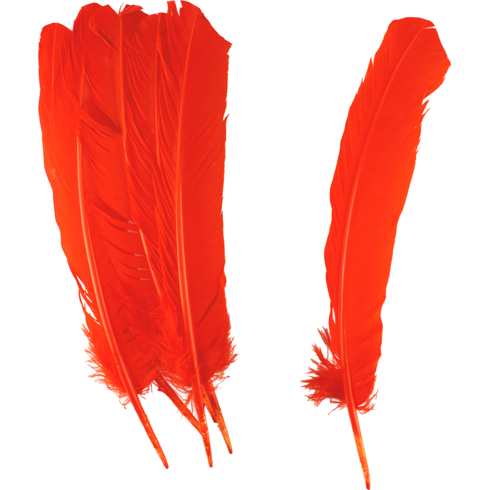 Orange Feathers 28cm (Pack of 6)