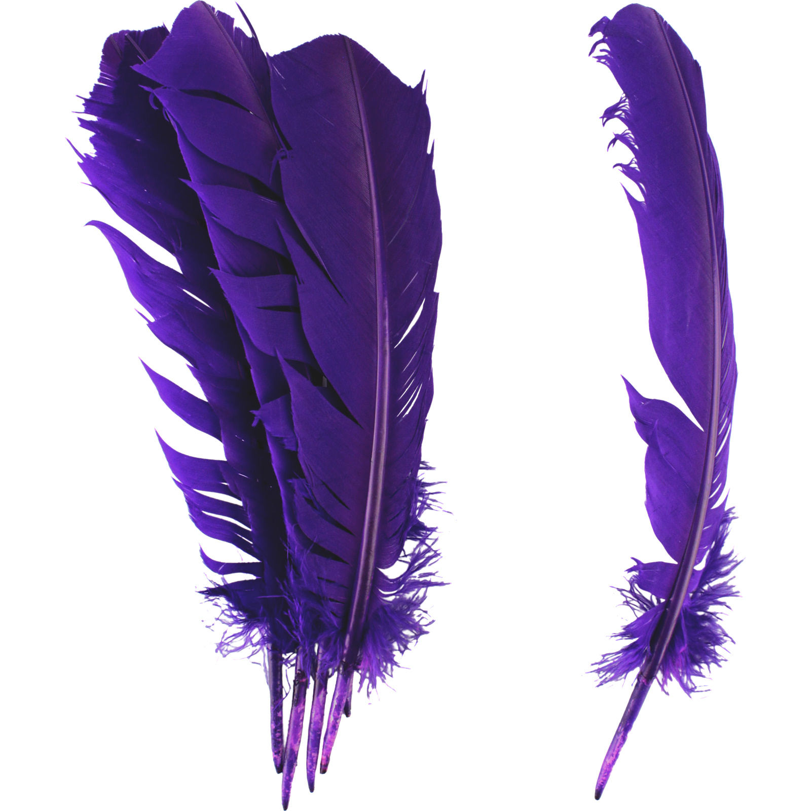 Purple Feathers 28cm (Pack of 6)