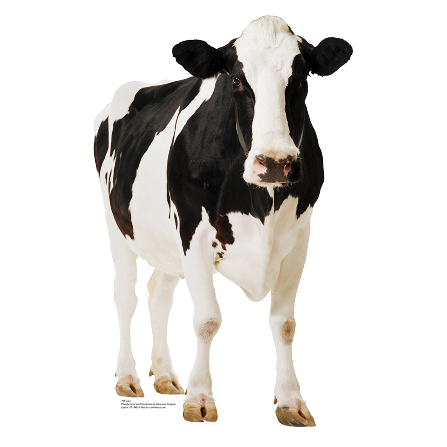 Cow Stand Up Photo Prop