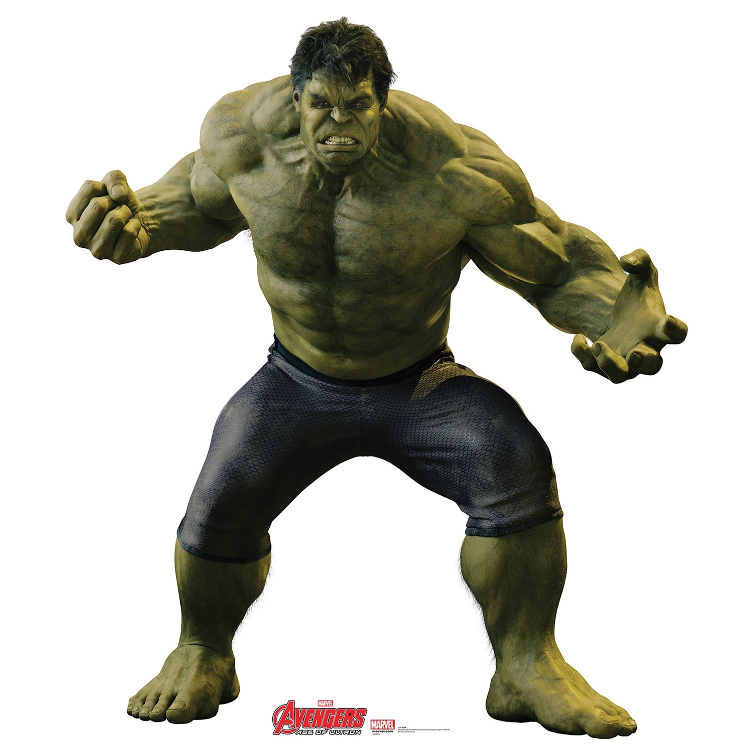 Incredible Hulk Age of Ultron Stand Up Photo Prop