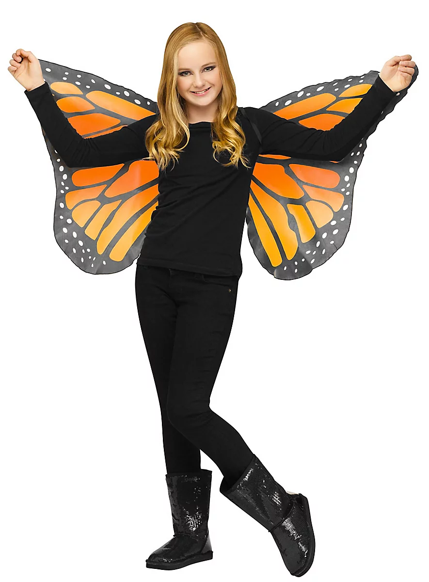 Butterfly Soft Wings Child Costume Accessory