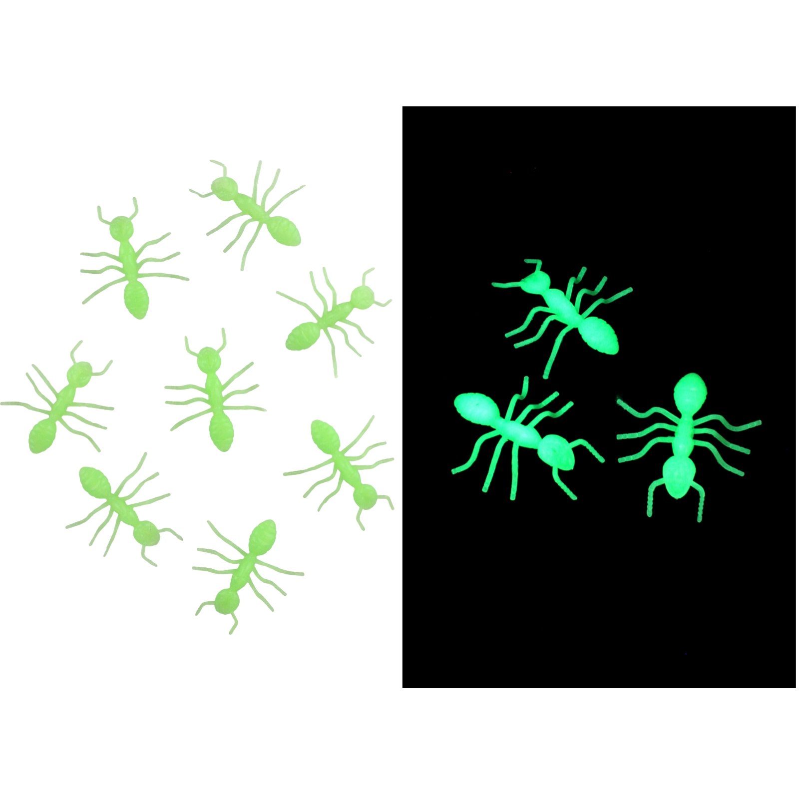 8Pcs Glow in the Dark Ants