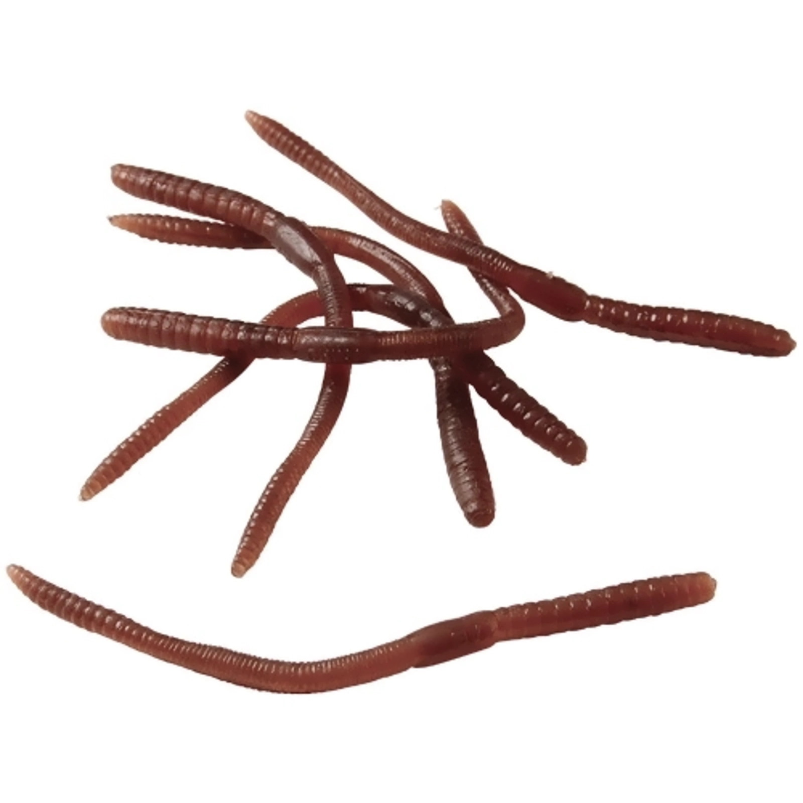 Stretchy Brown Worms 