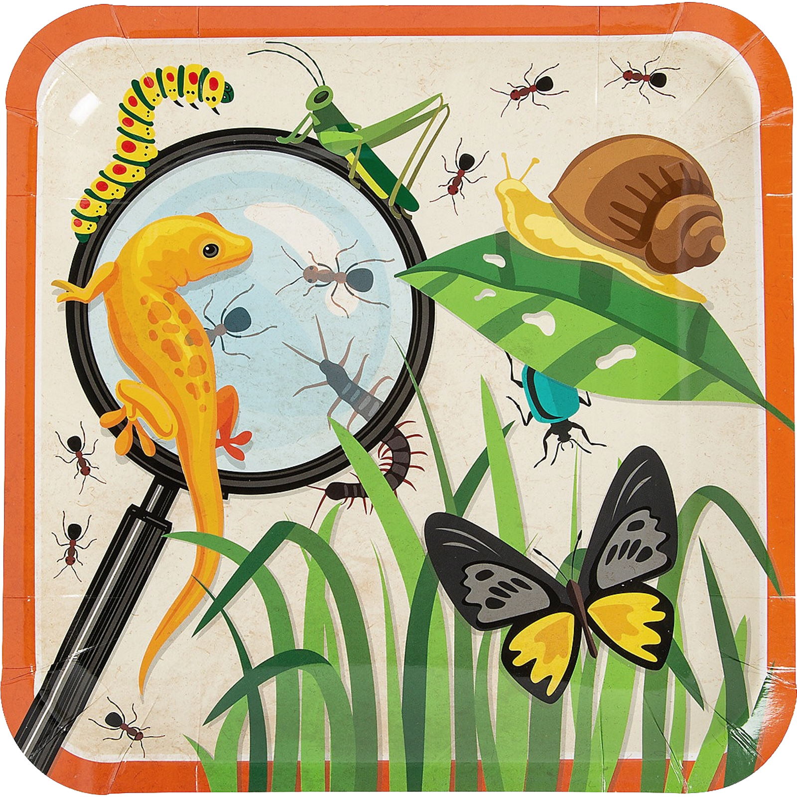 Backyard Adventures Large Square Paper Plates (Pack of 8)