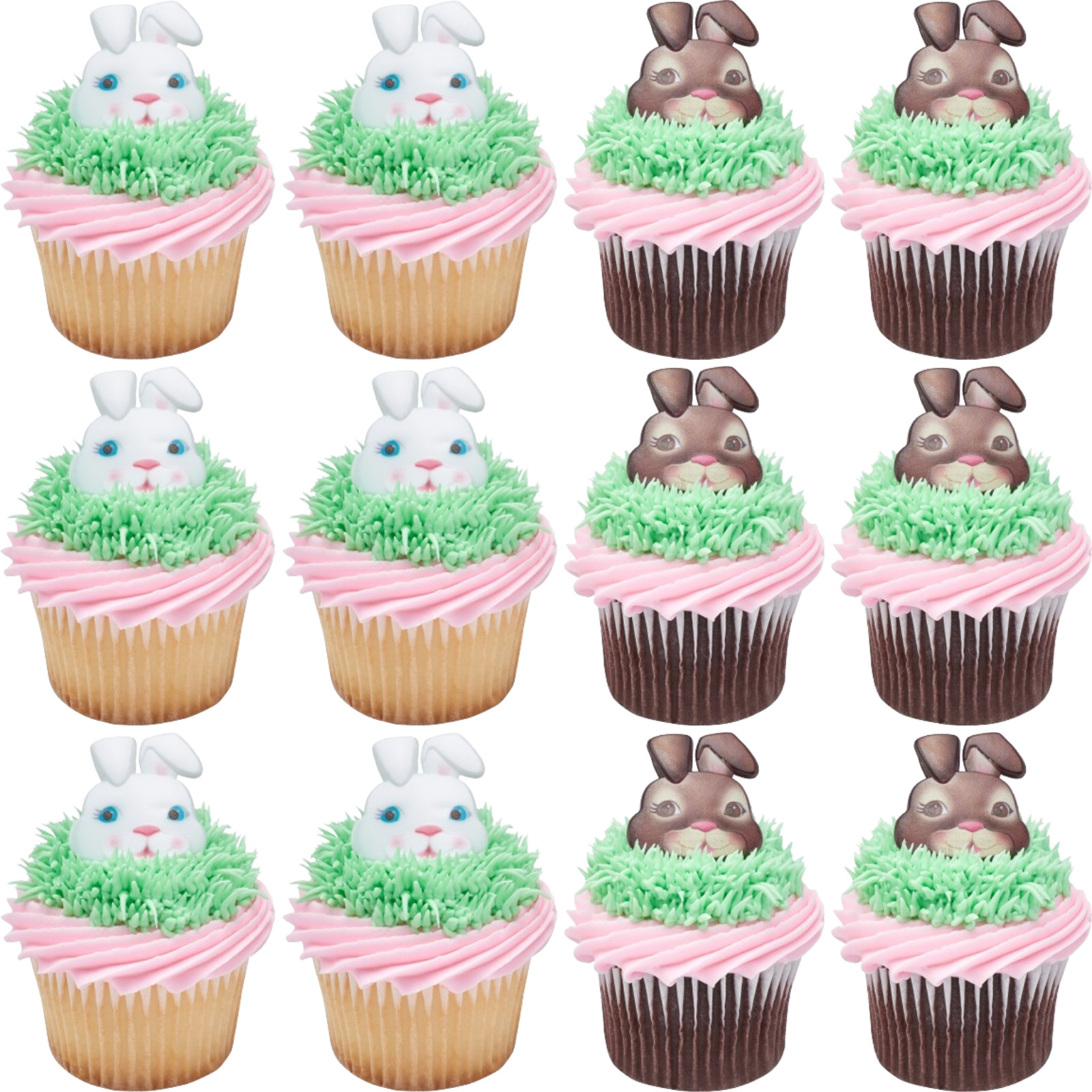 Hippity Hoppity Bunny Cupcake Rings (Pack of 12) 
