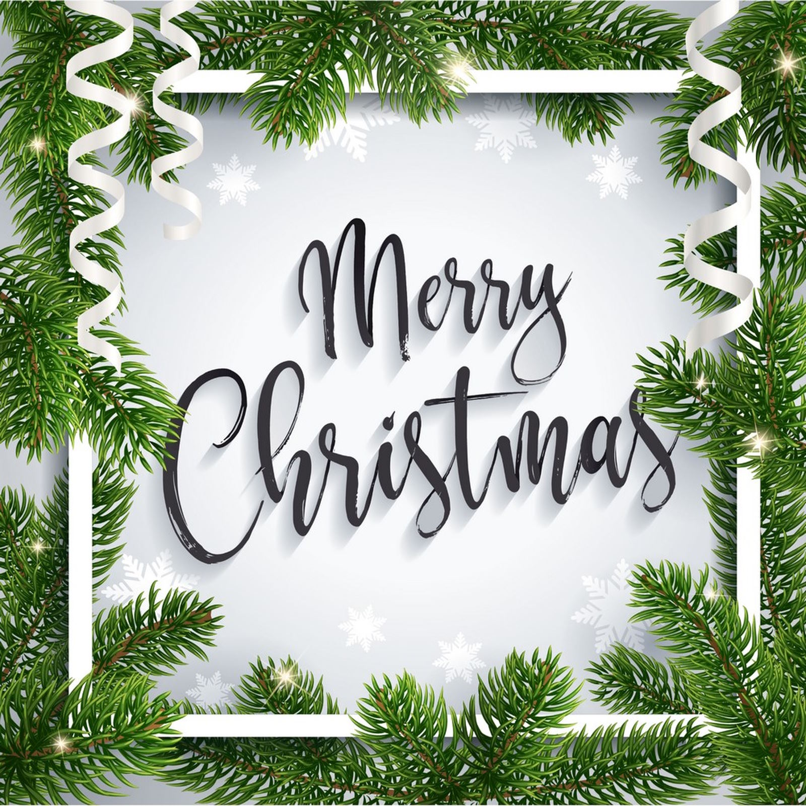 Evergreen Merry Christmas Square Fabric Backdrop 