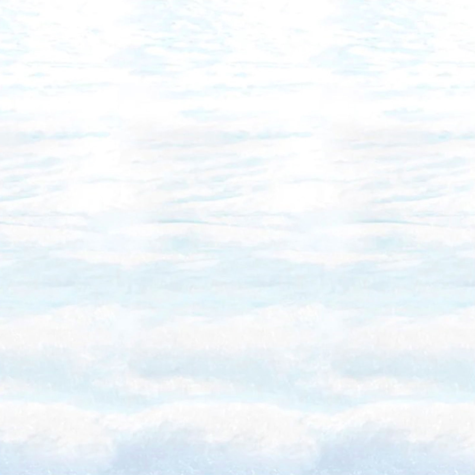 Snowscape Backdrop 9.1m
