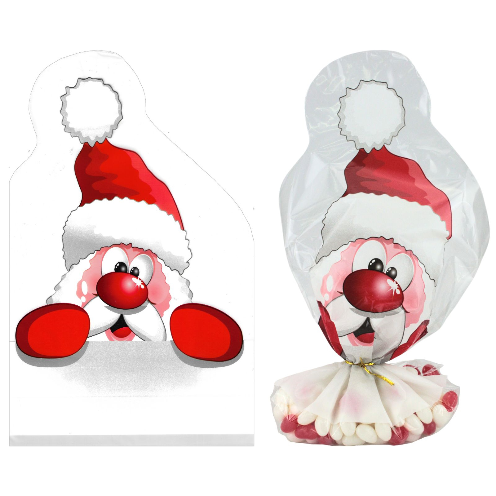 Santa Claus Shaped Treat Bags (Pack of 4) 