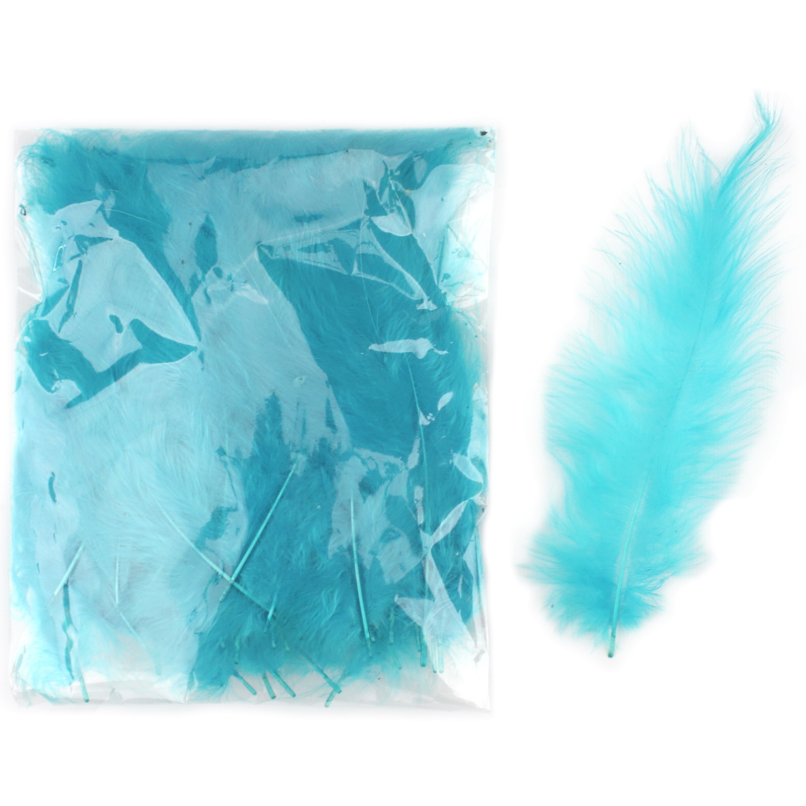Aqua Blue Feathers