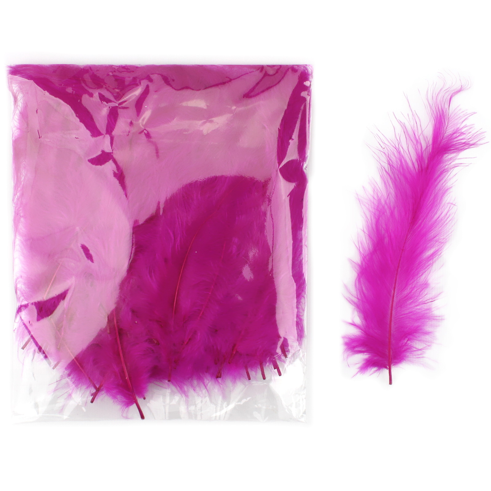 Fuchsia Pink Feathers