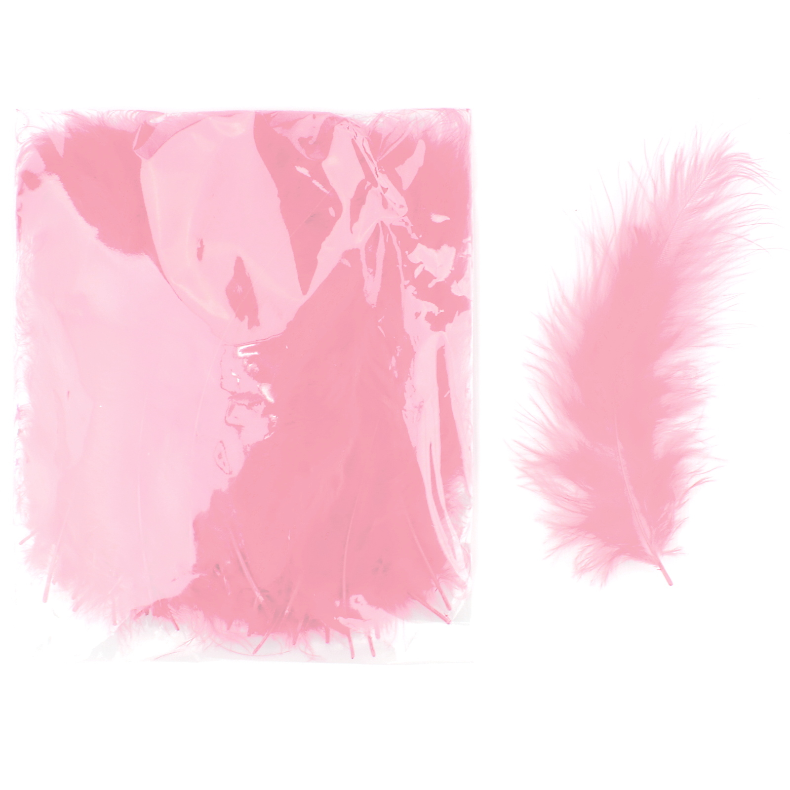 Light Pink Feathers