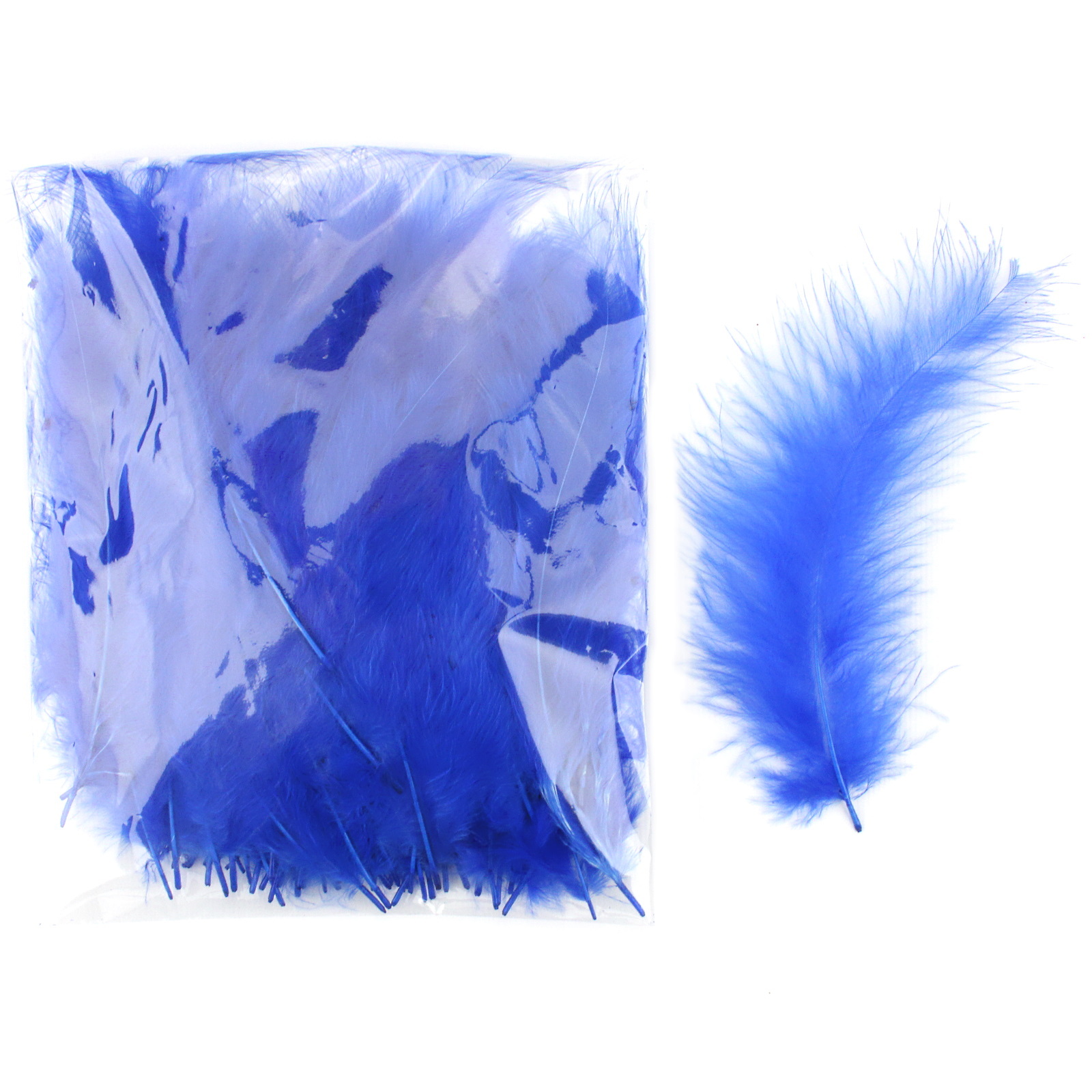 Royal Blue Feathers