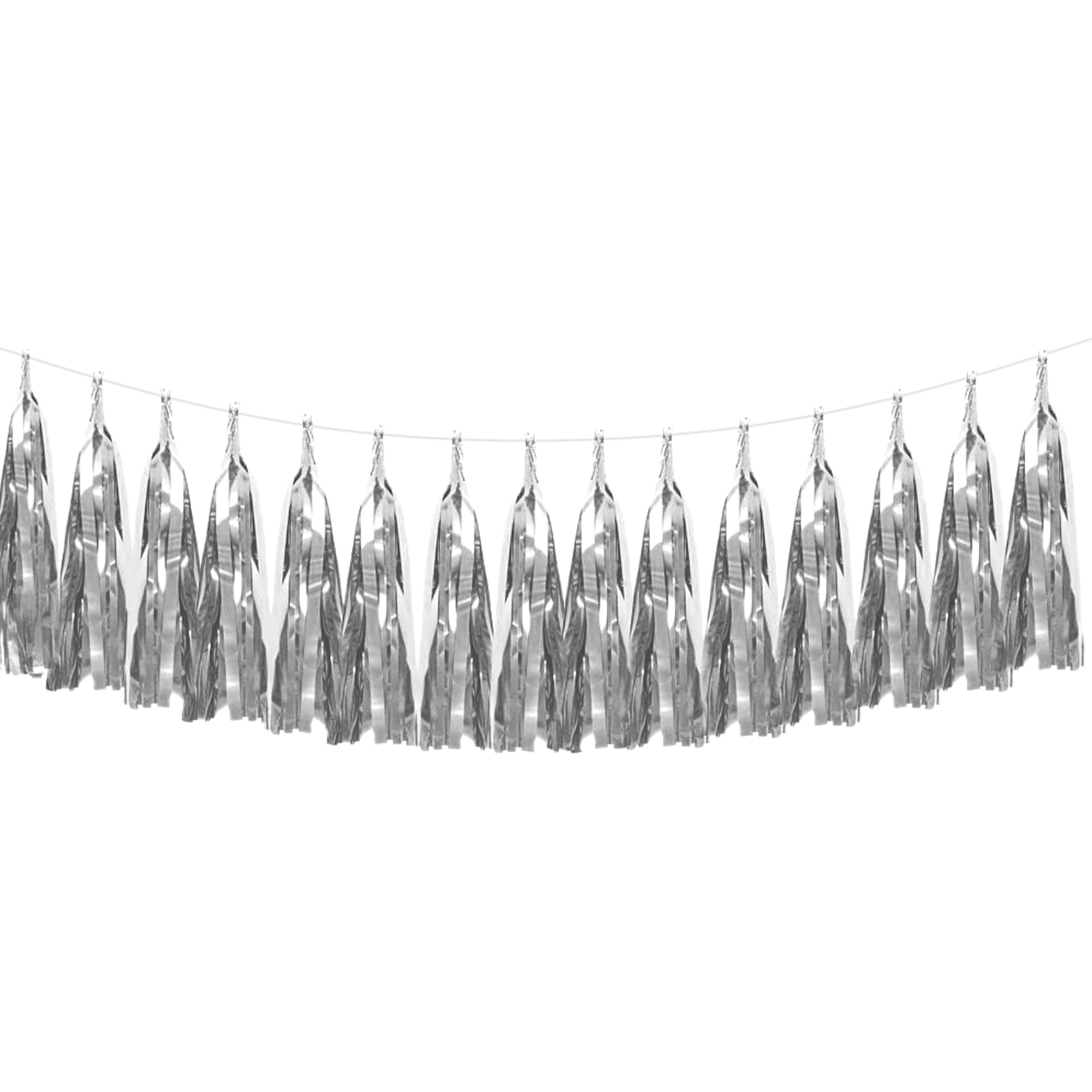 Sliver Foil Tassel Garland Banner Kit (2m)