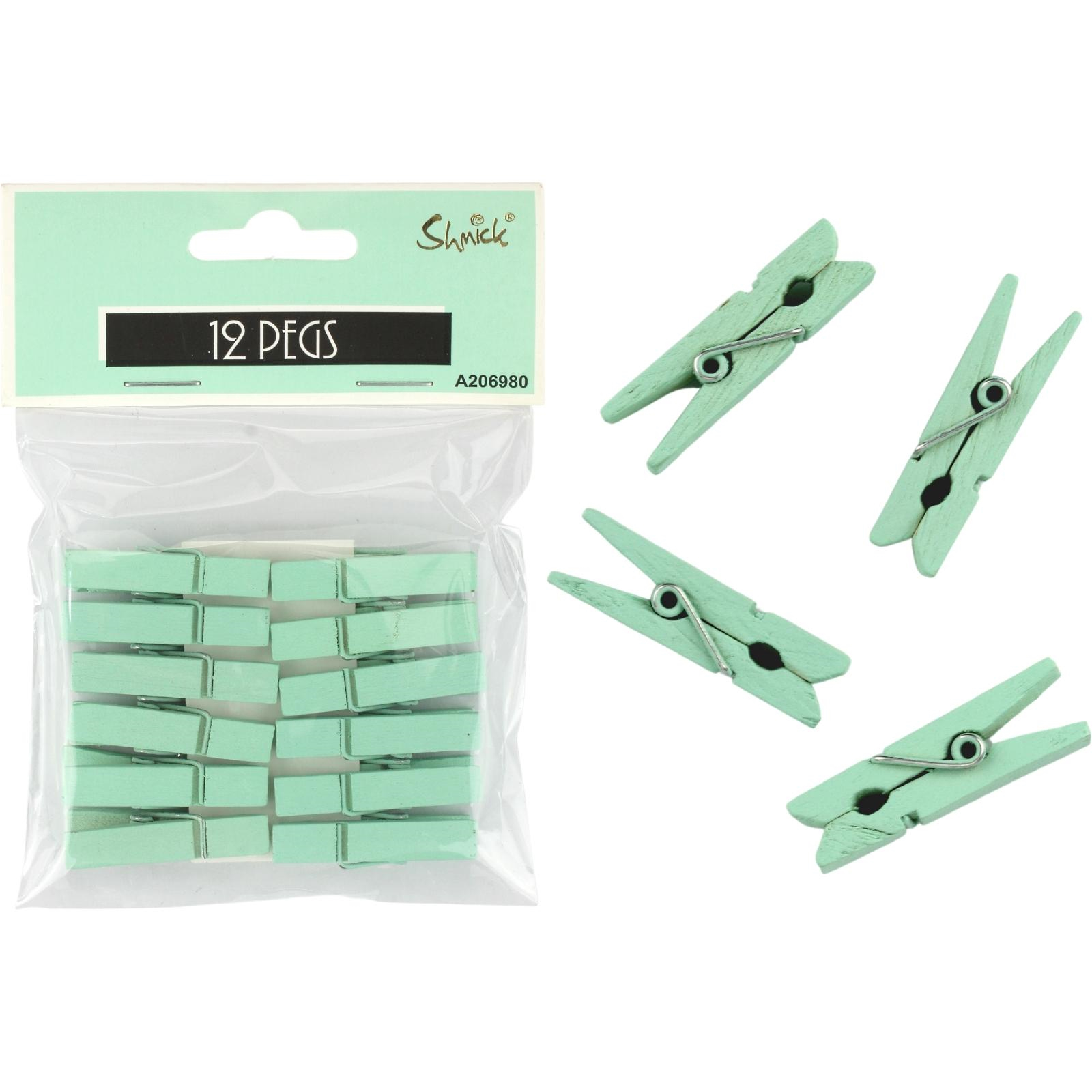 Mint Green Mini Wooden Pegs (Pack of 12) 