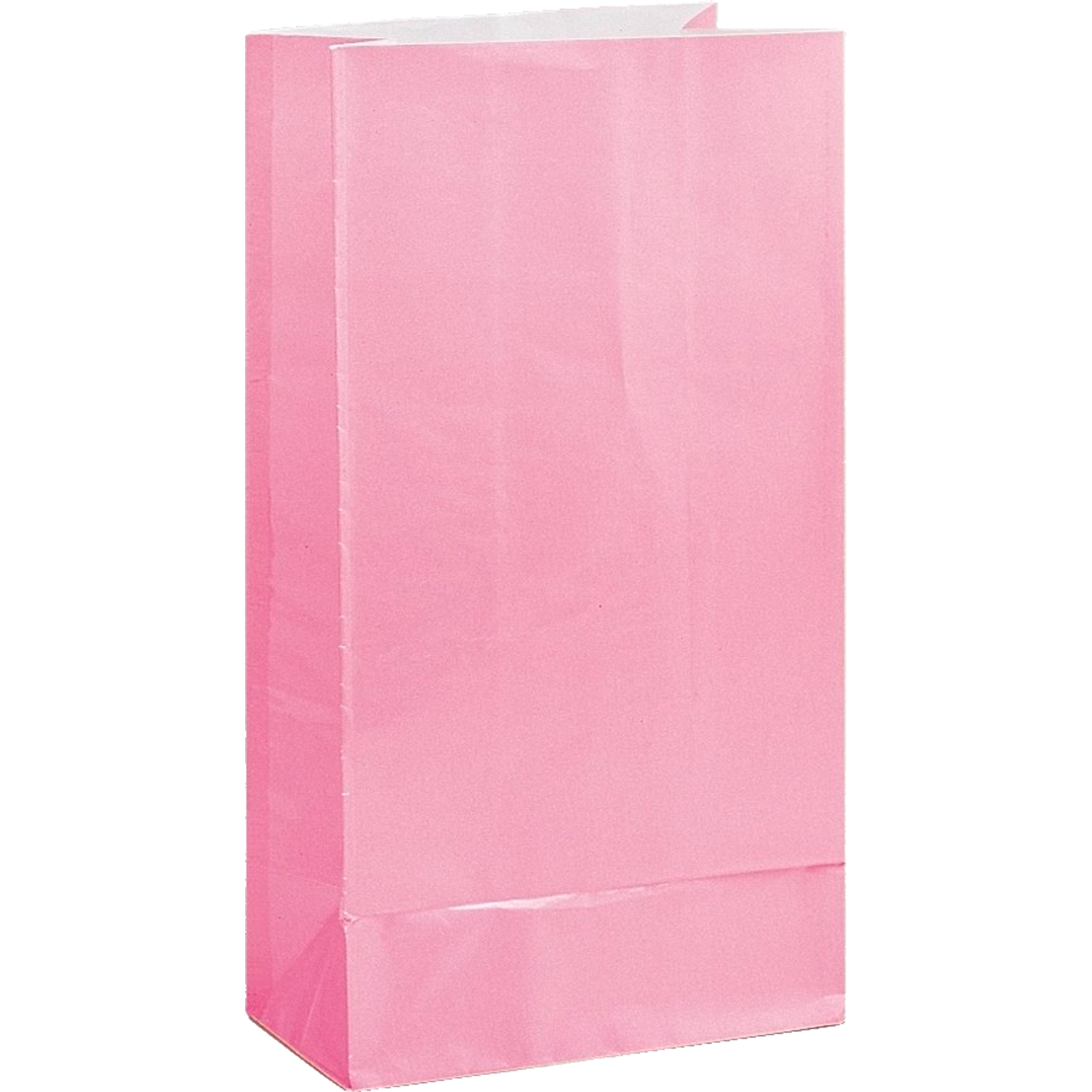 Pastel Pink Paper Party Bags (Pack of 12)