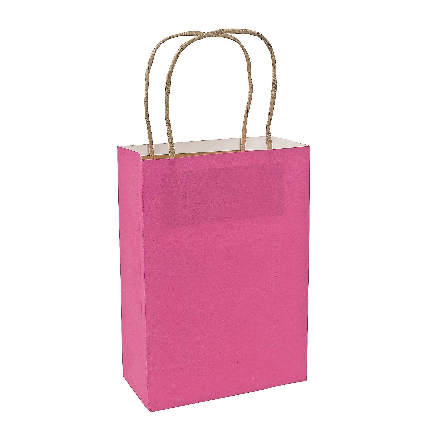Hot Pink Paper Gift Bags (Pack of 12)