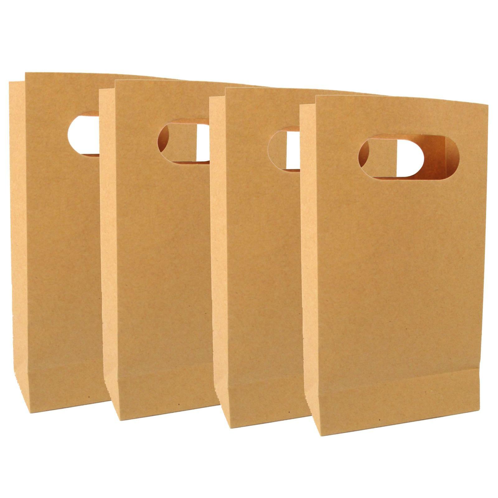Brown Kraft Paper Treat Bags Small (Pack of 4)