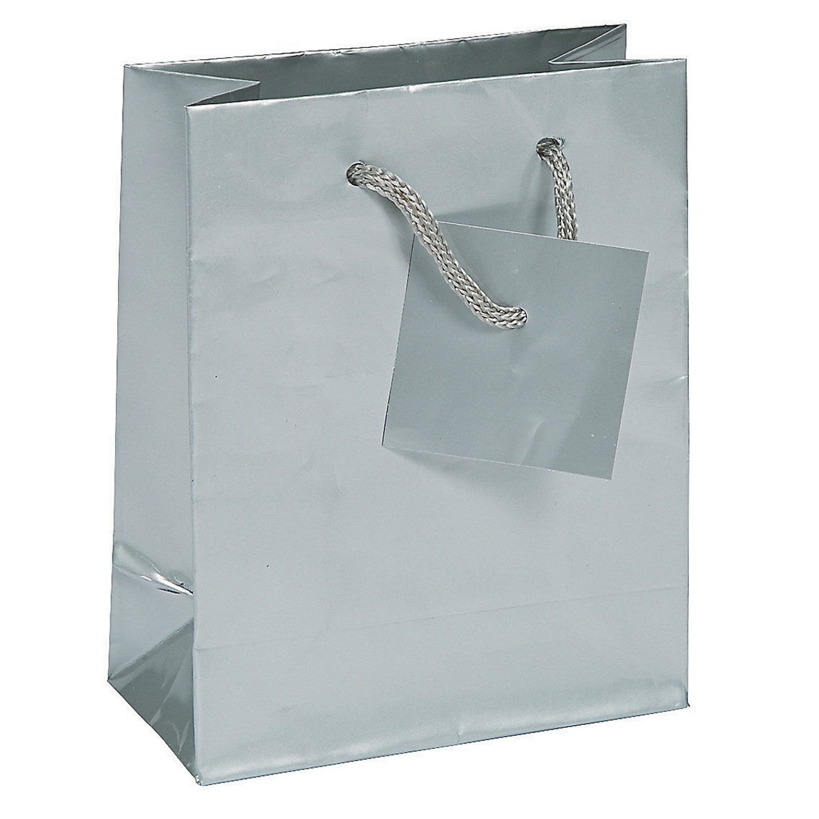 Small Silver Paper Gift Bags (Pack of 12)
