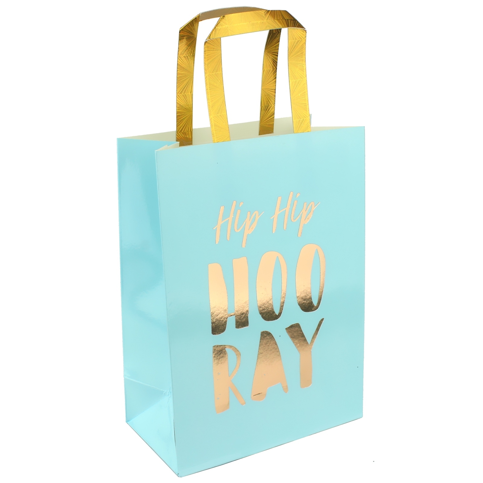 Pastel Blue and and Gold Luxe Party Bags (Pack of 3)