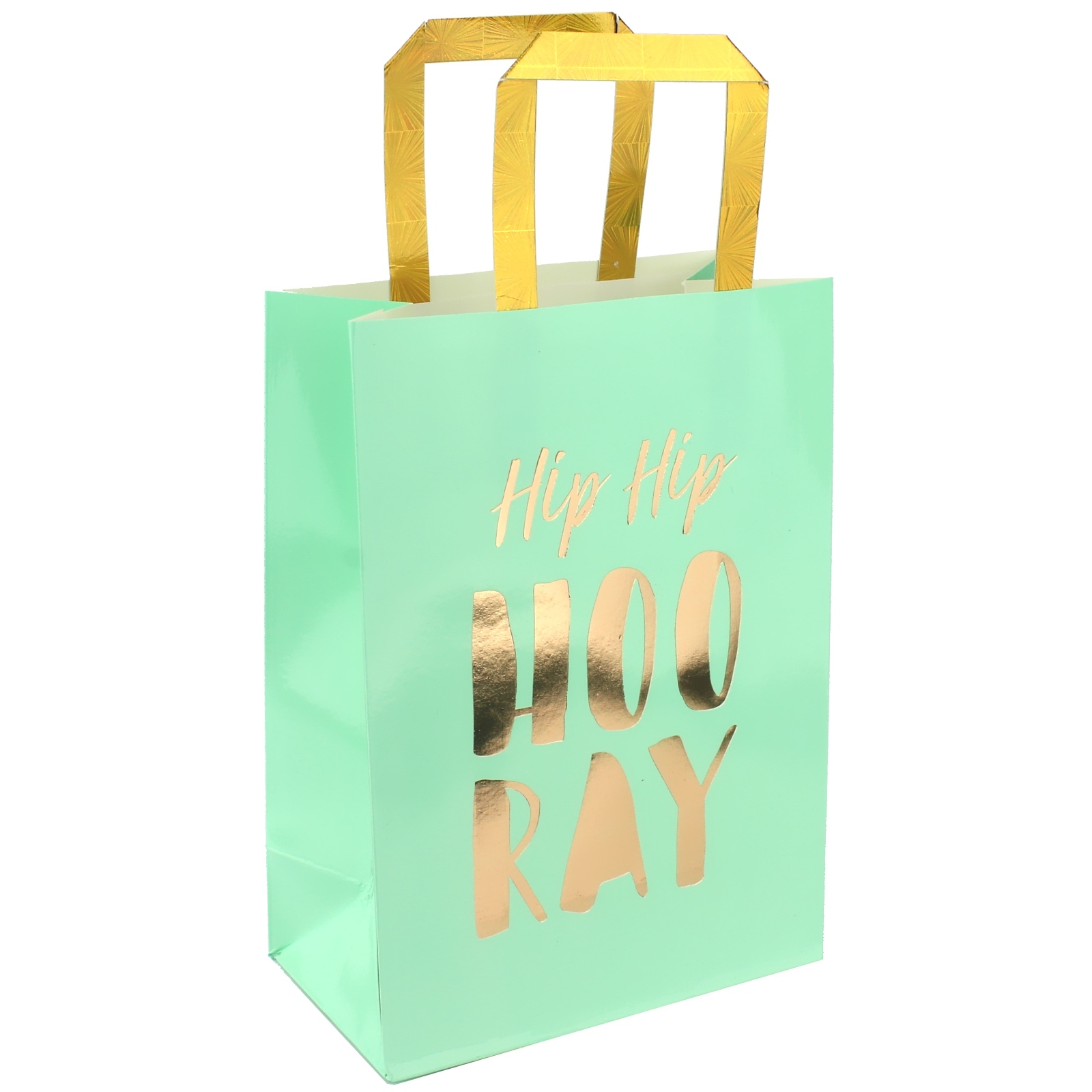 Pastel Mint Green and Gold Luxe Party Bags (Pack of 3)