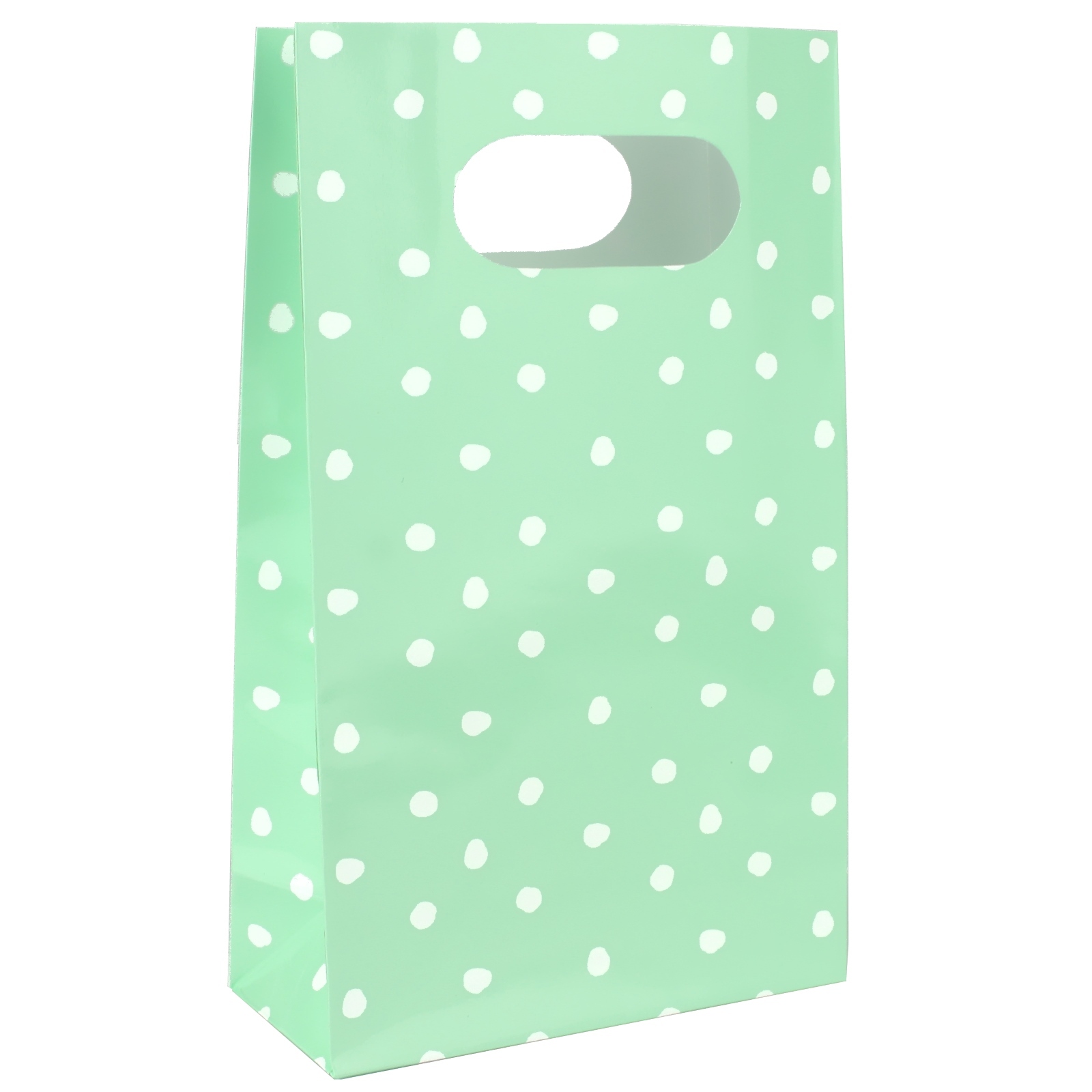 Pastel Mint and White Dot Paper Treat Bags (Pack of 6)