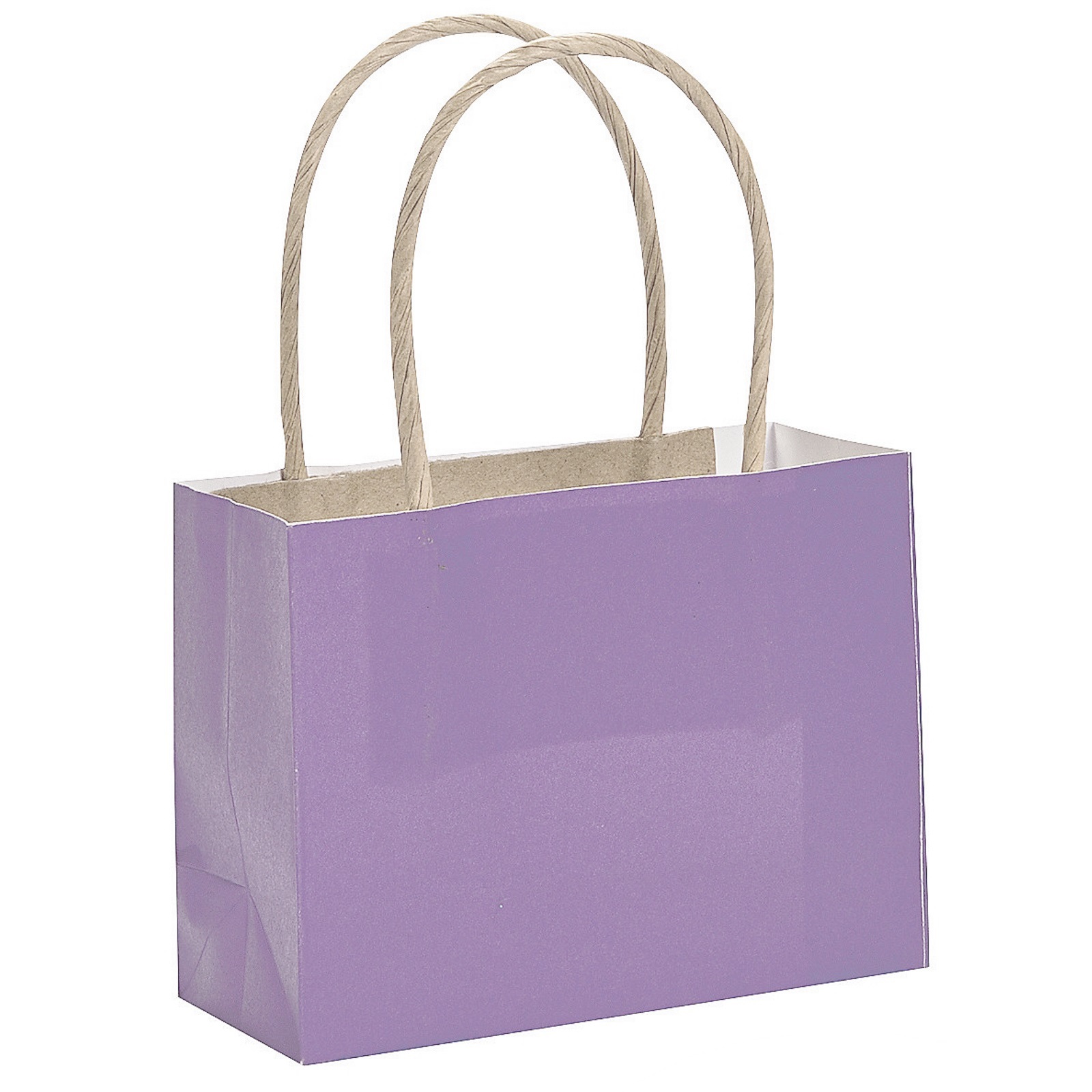 Purple Small Paper Gift Bags (Pack of 12)