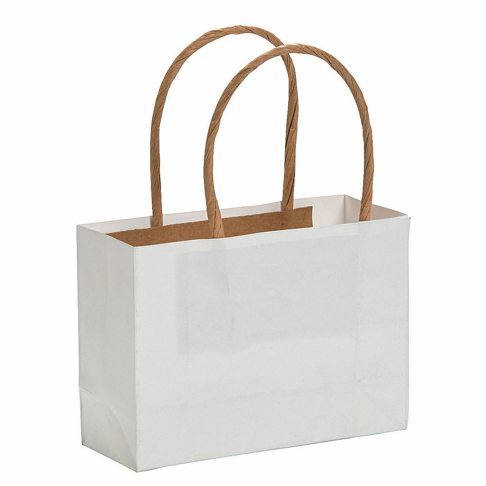 White Small Paper Gift Bags (Pack of 12)