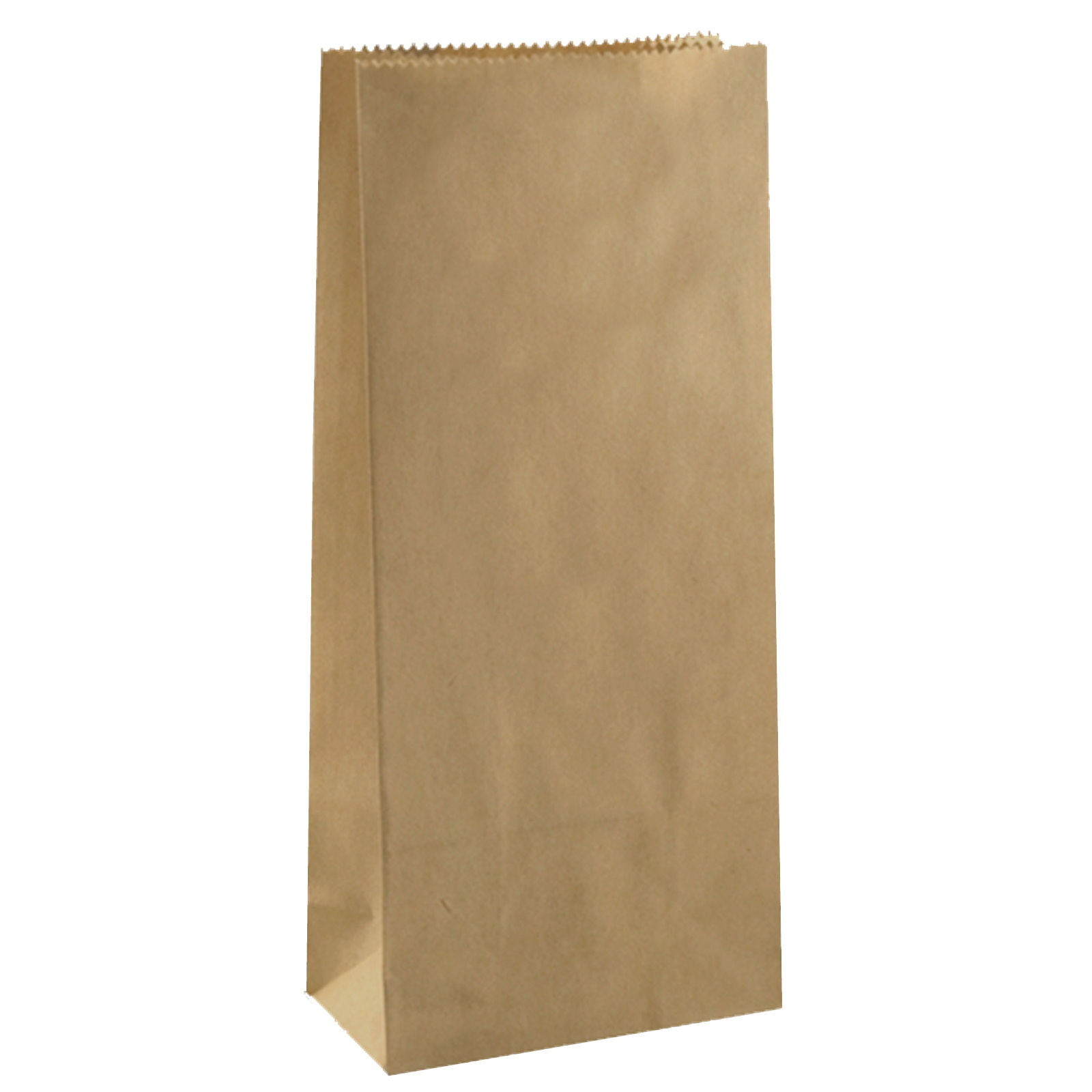 Brown Kraft Paper Party Bags 21cm x 9cm x 6cm (Pack of 6)