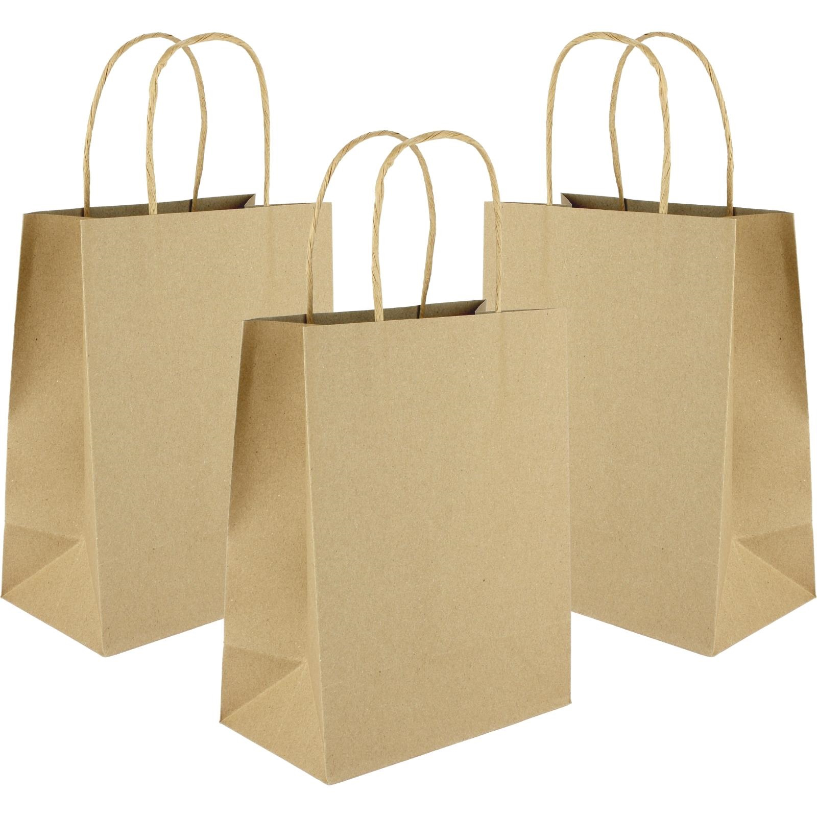 Brown Kraft Paper Gift Bags 22cm (Pack of 5)