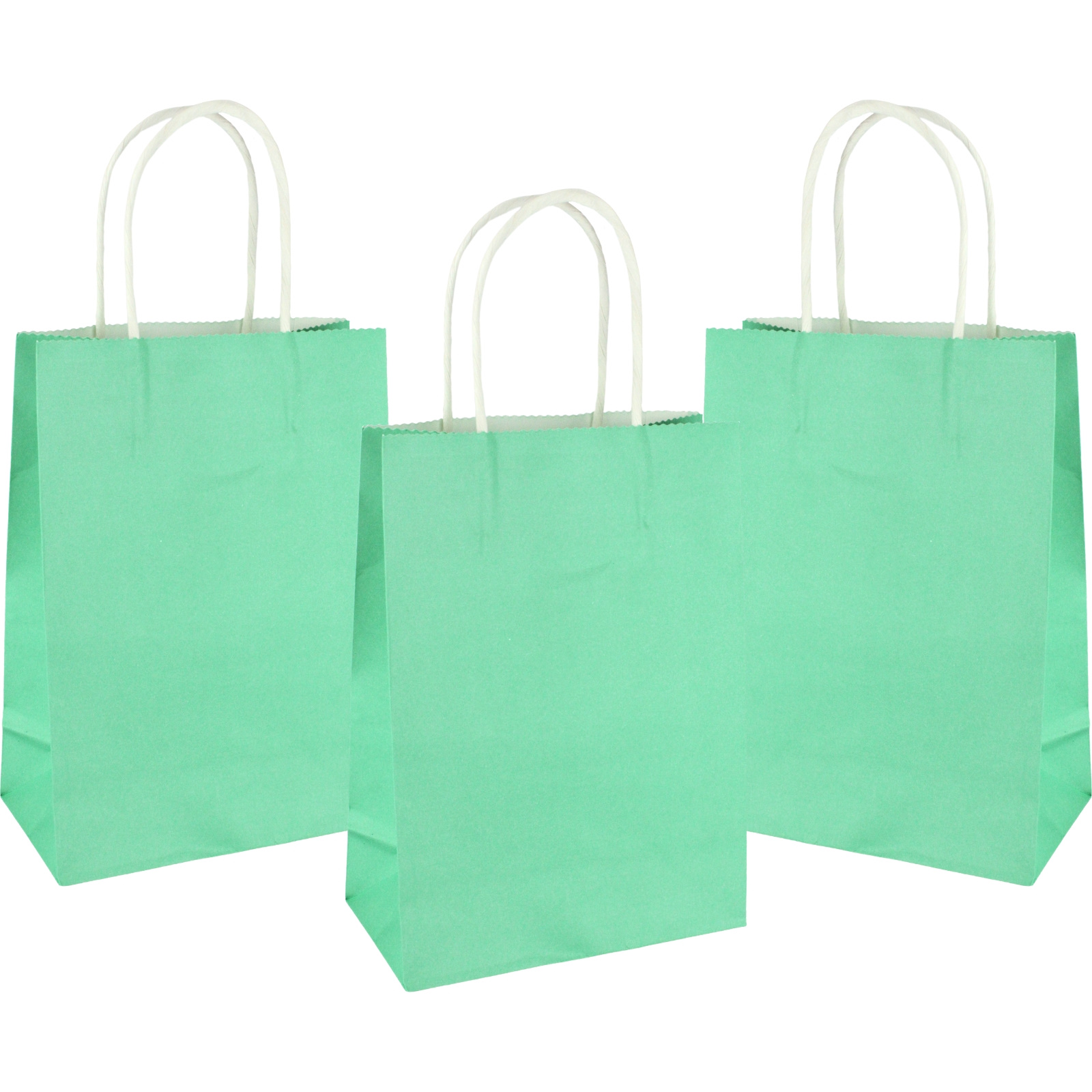 Mint Green Kraft Paper Gift Bags 20.8cm (Pack of 4) 