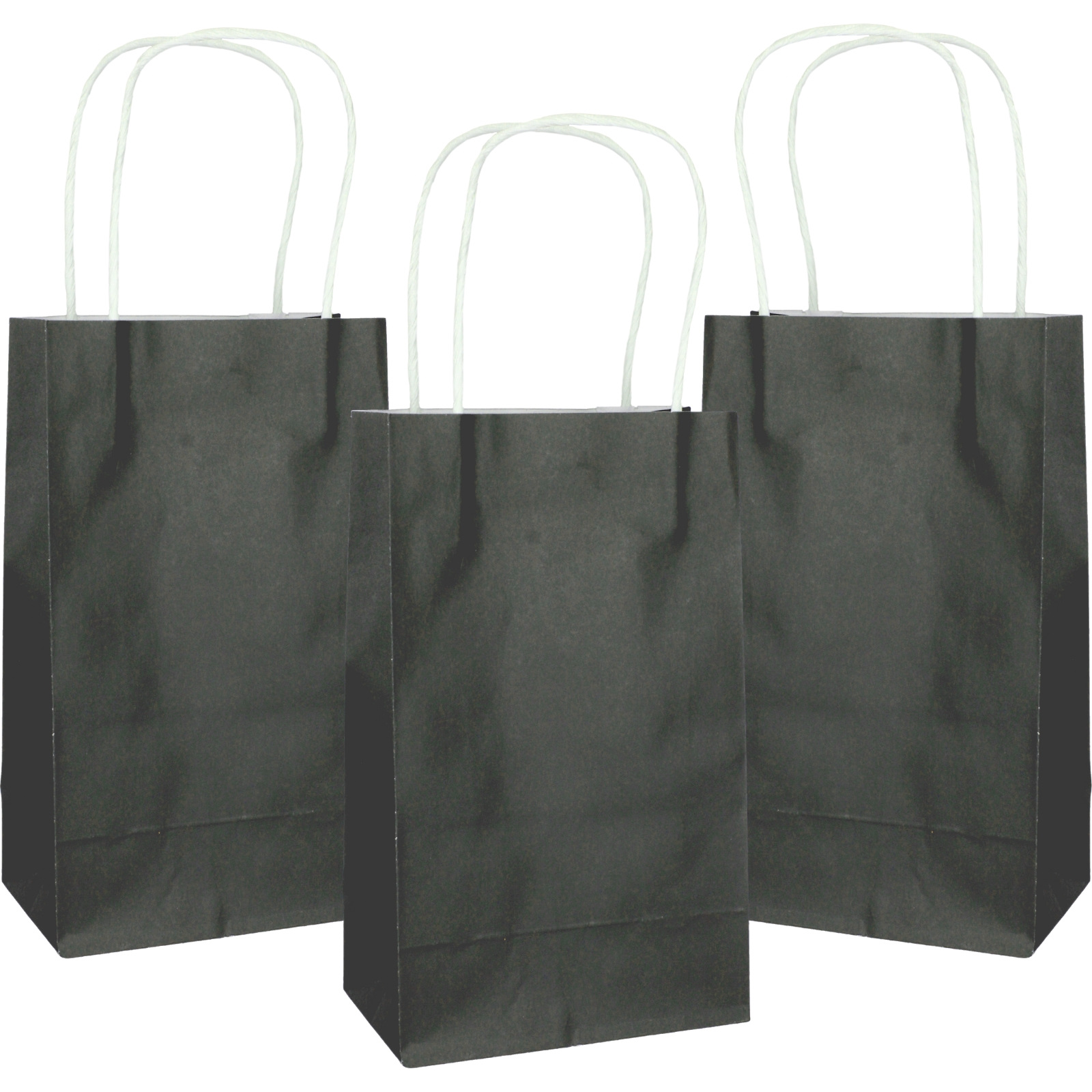 Black Paper Gift Bags 21.5cm (Pack of 5)