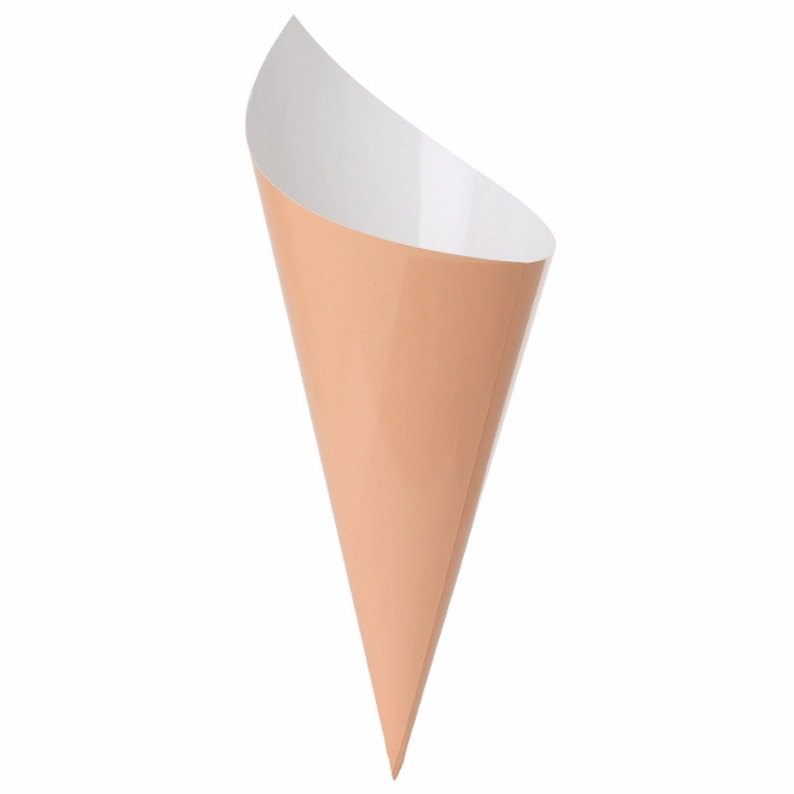 Coral Paper Snack Cones (Pack of 10)