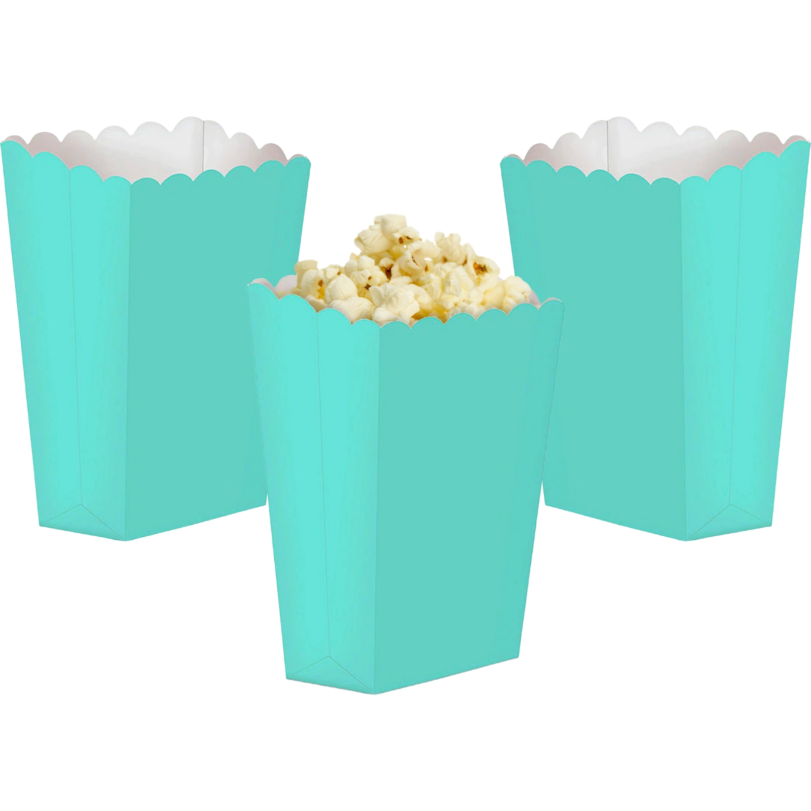Mint Green Treat Boxes (Pack of 5)