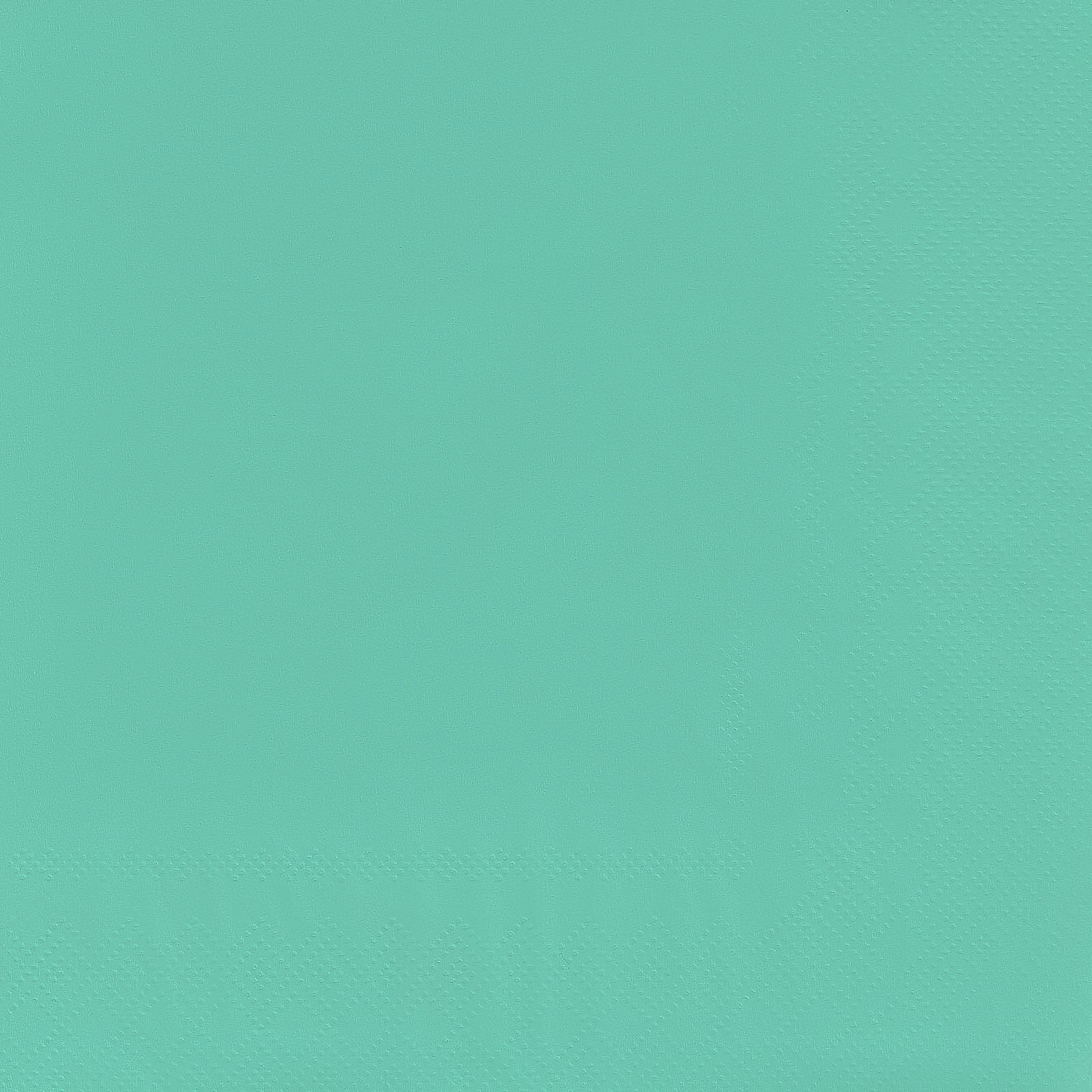 Mint Green Dinner Napkins / Serviettes (Pack of 50) 