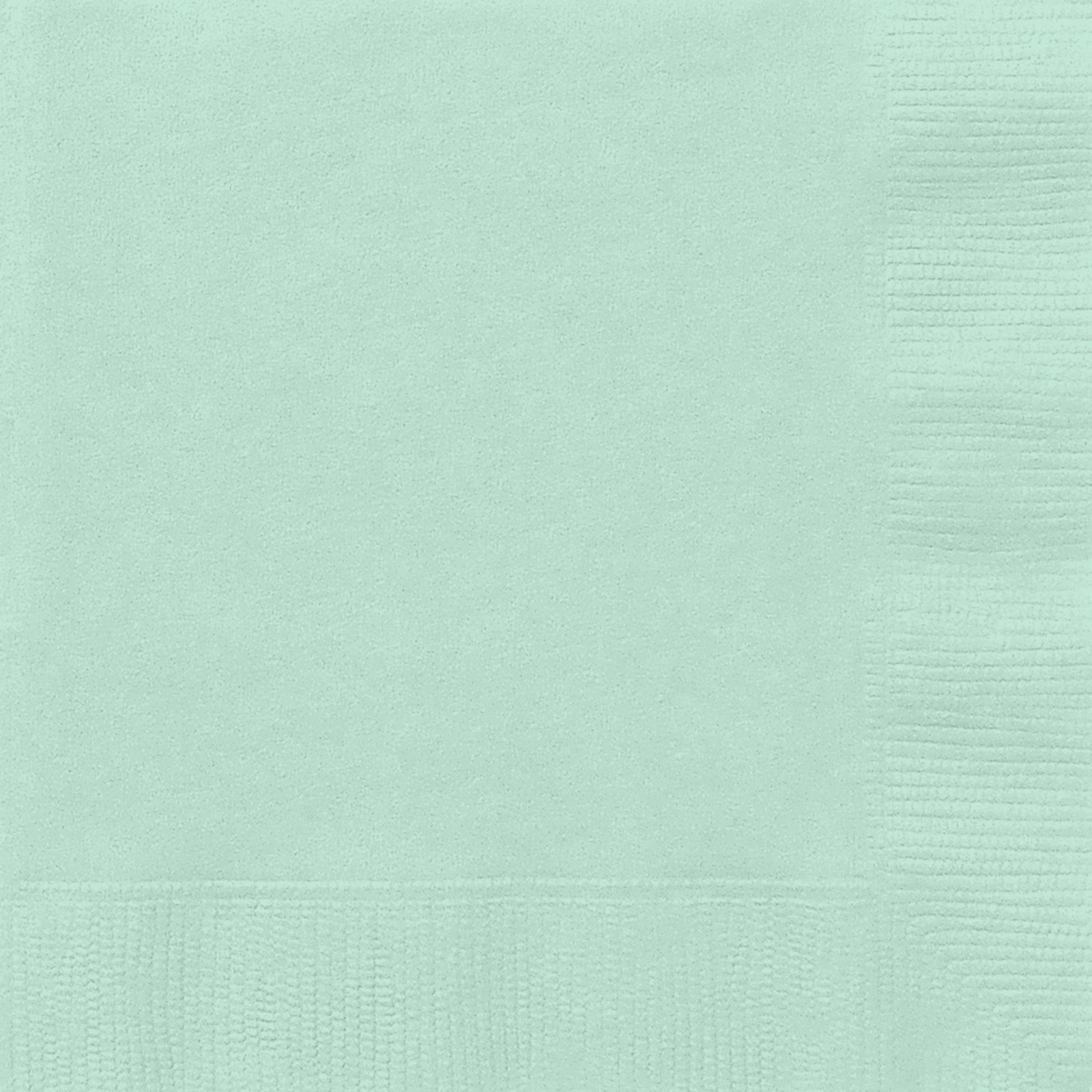 Mint Green Large Napkins (Pack of 20)