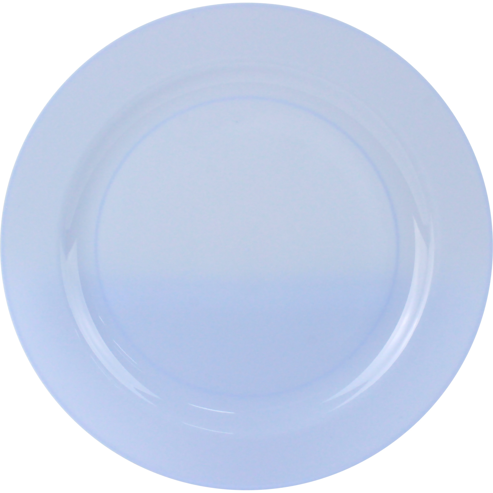 Everyday Living Blue Periwinkle Reusable Large Plates (Pack of 10)