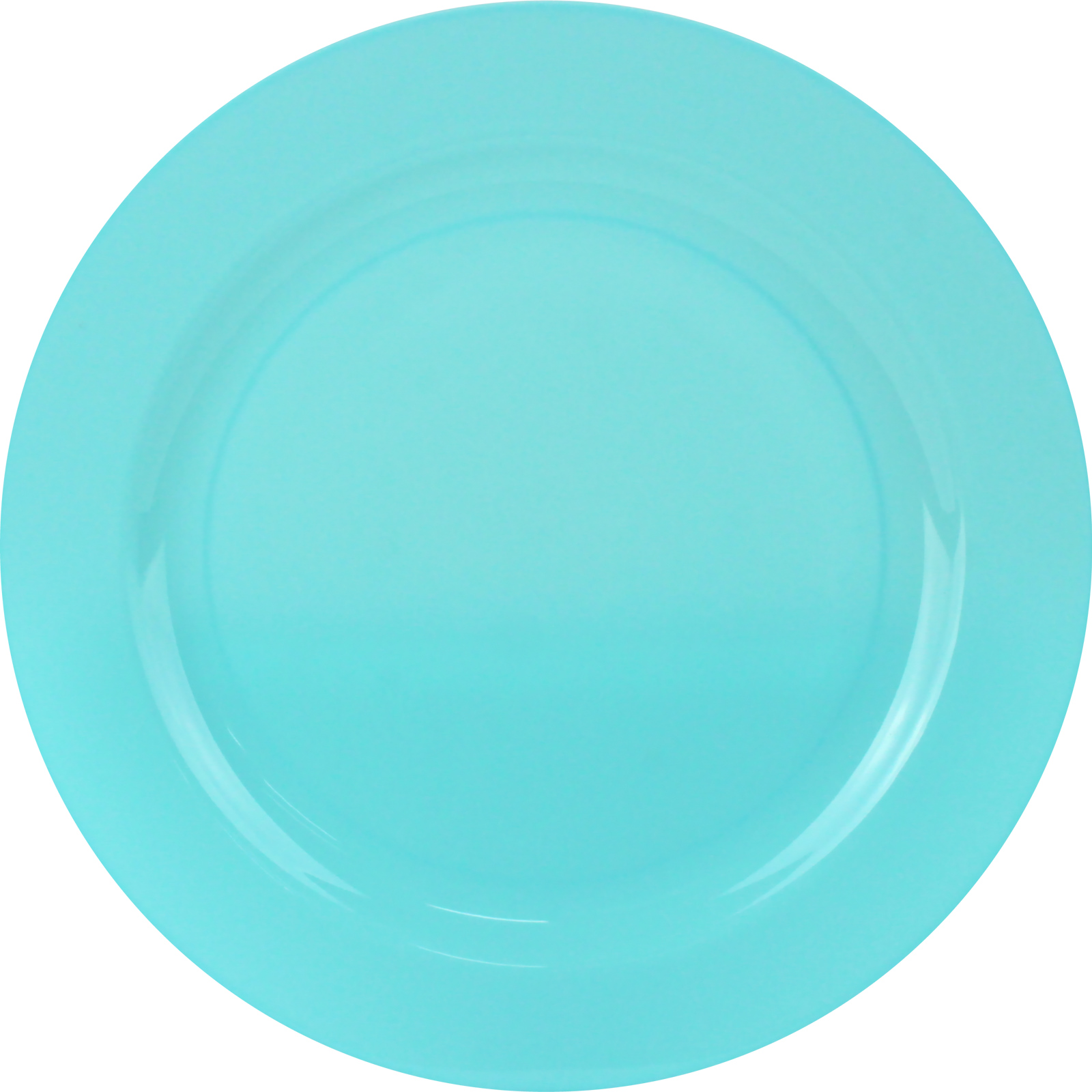 Everyday Living Blue Caribbean Reusable Large Plates (Pack of 10)