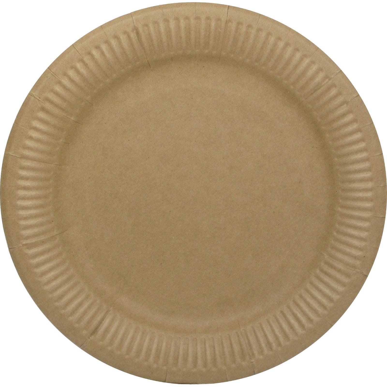 Brown Kraft Paper Large Plates (Pack of 50)