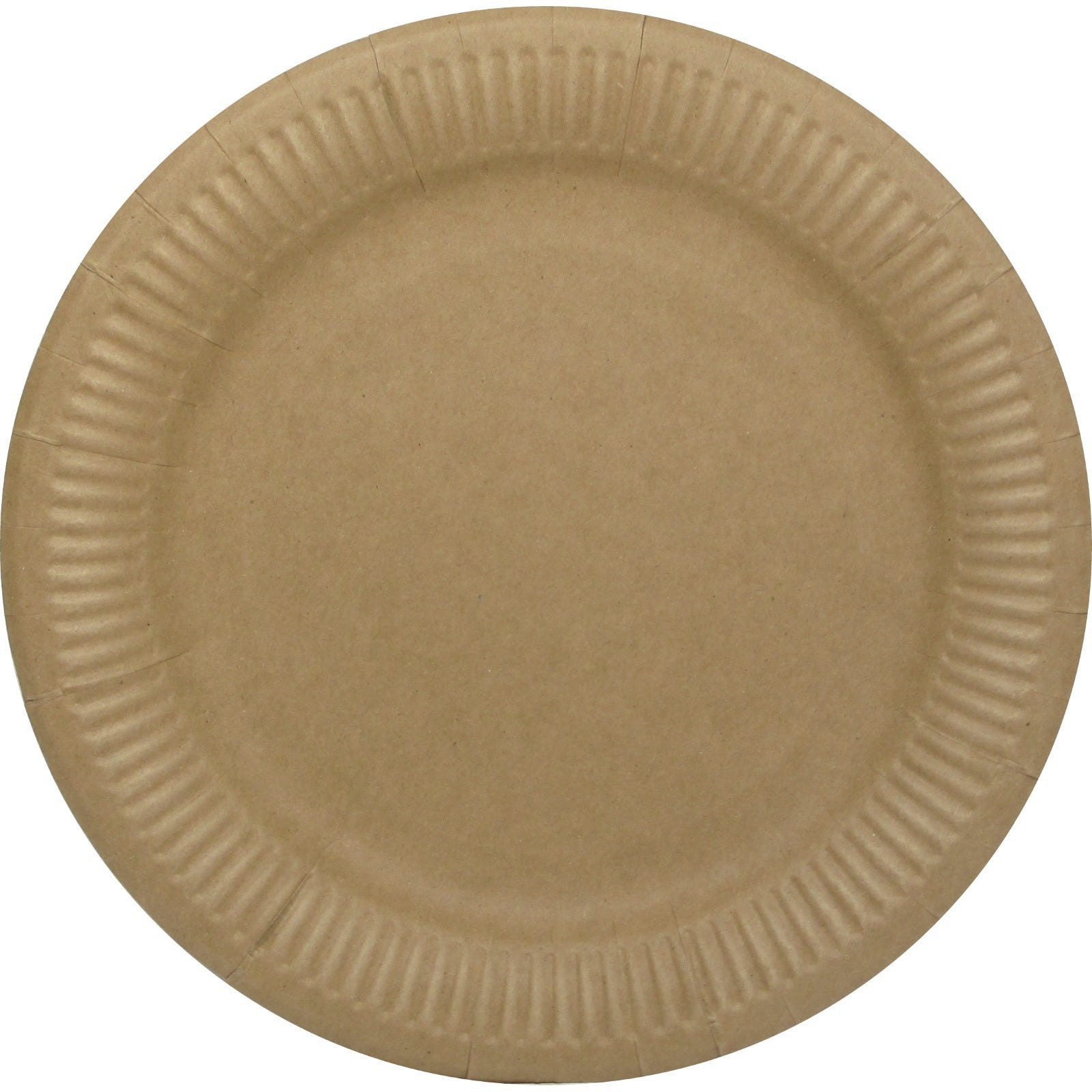 Brown Kraft Paper Large Plates (Pack of 12)
