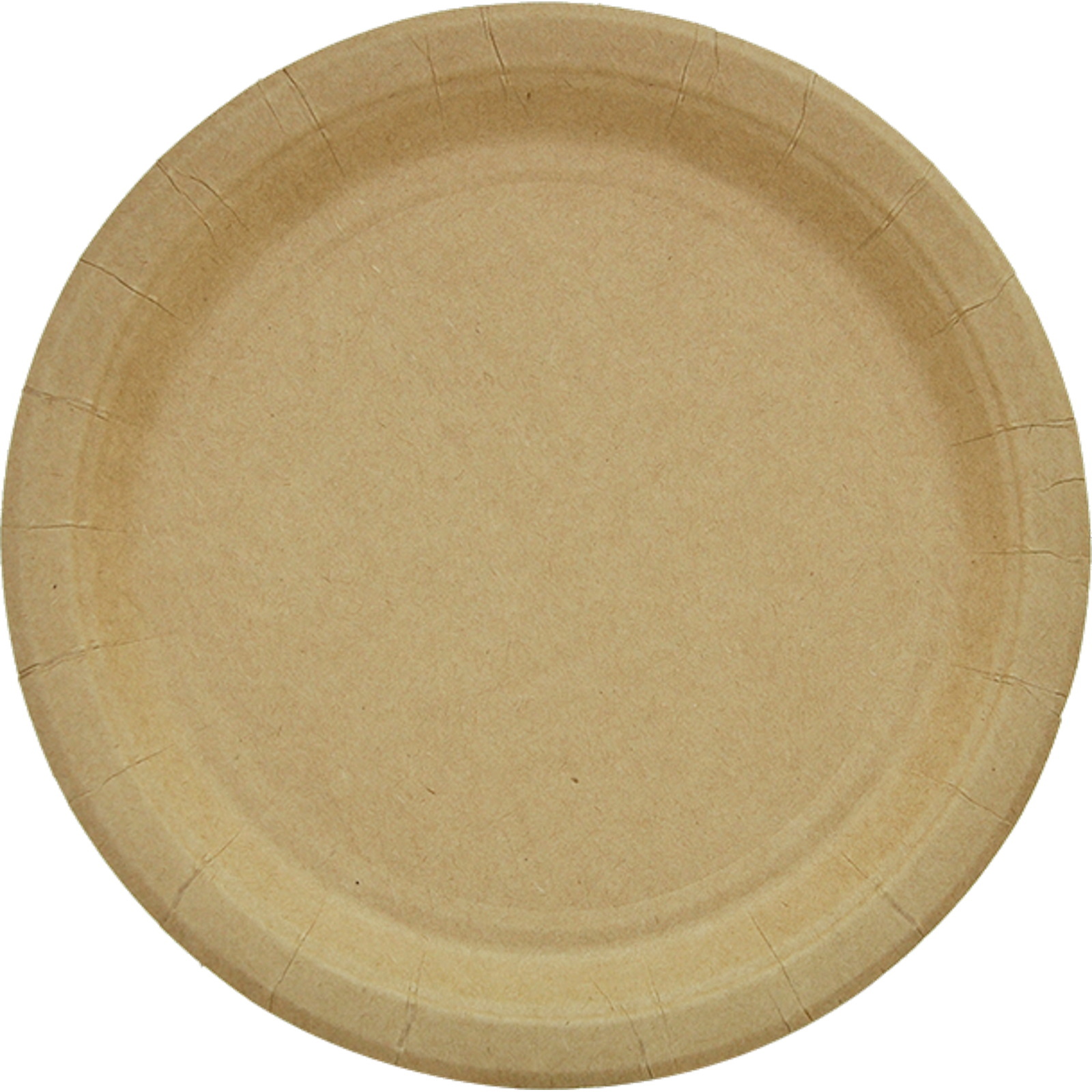 Brown Kraft Paper Large Plates (Pack of 8)