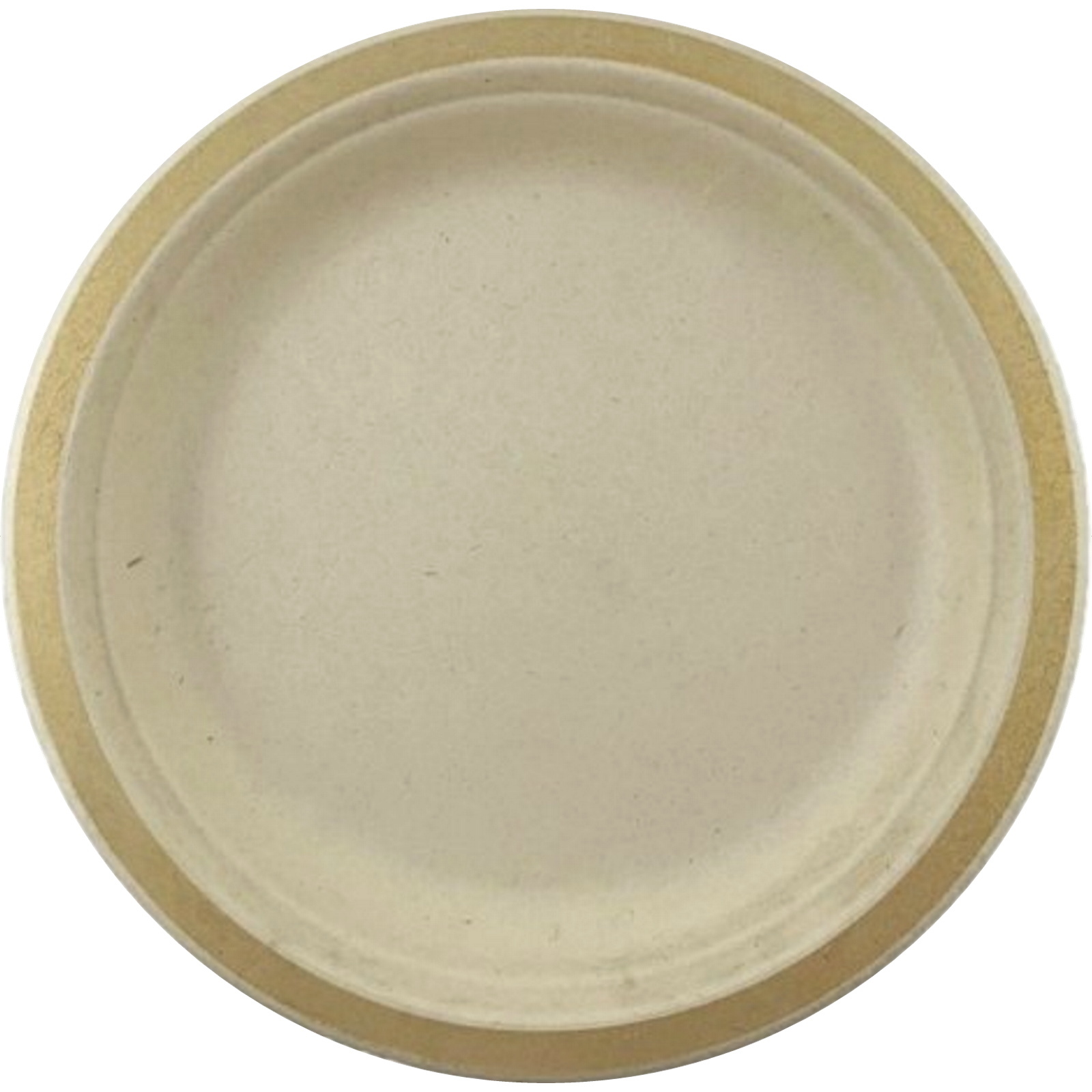 Gold Rim Sugar Cane Large Plates (Pack of 10)