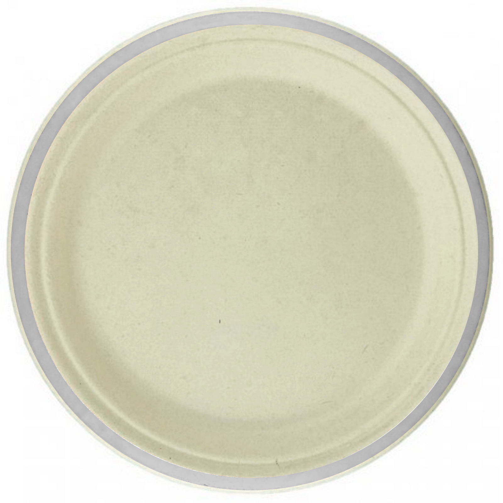 Silver Rim Sugar Cane Large Plates (Pack of 10)