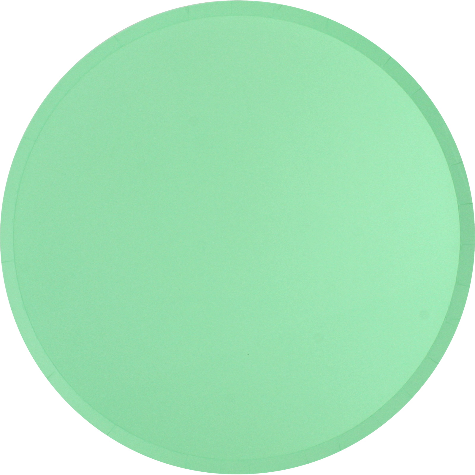 Neon Mint Large Paper Plates (Pack of 12)