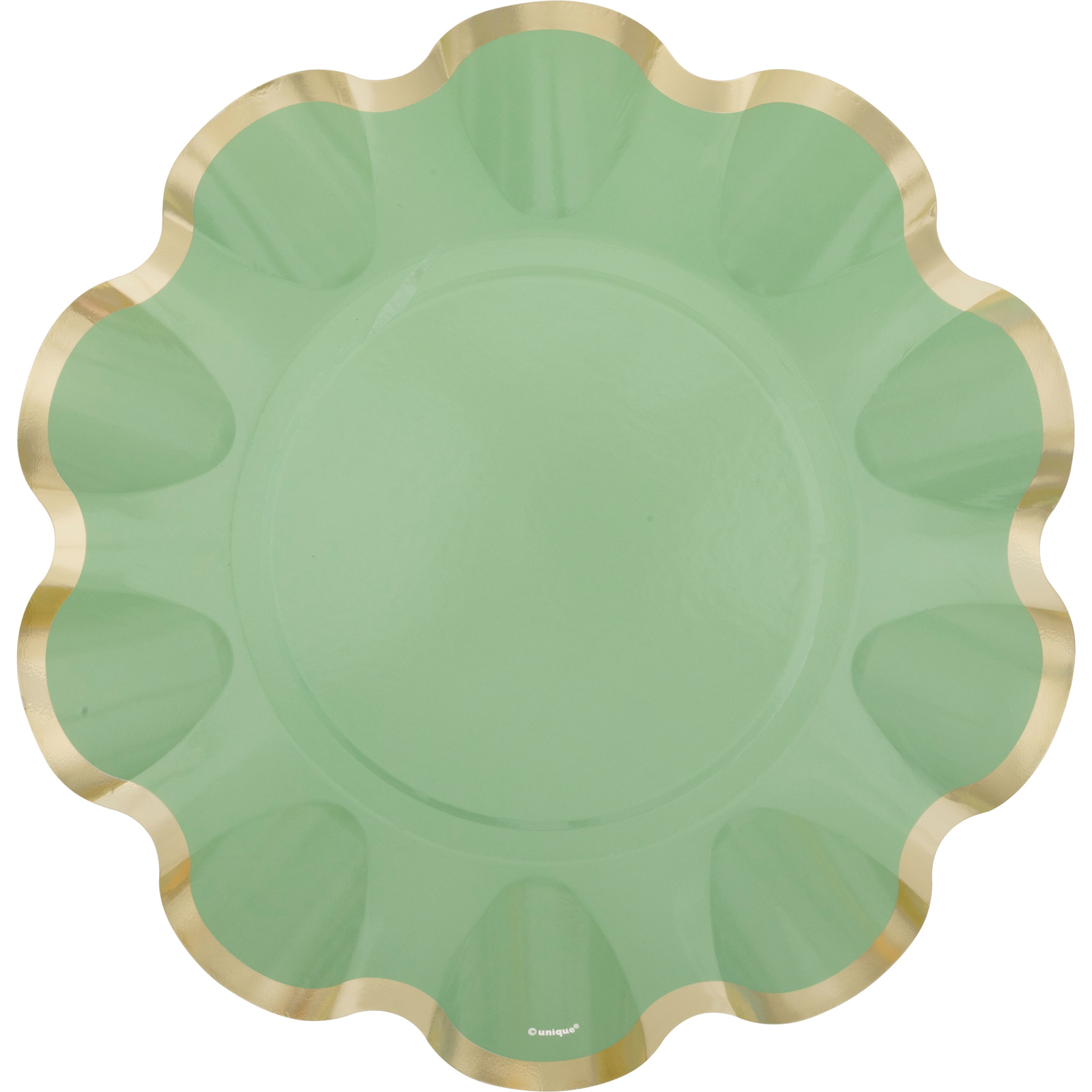 Elegant Sage 24.5cm Paper Plates (Pack of 8)