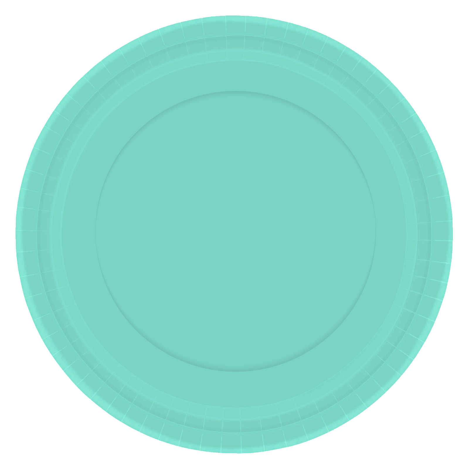 Robins Egg Blue 23cm Round Paper Plates NPC (Pack of 20)