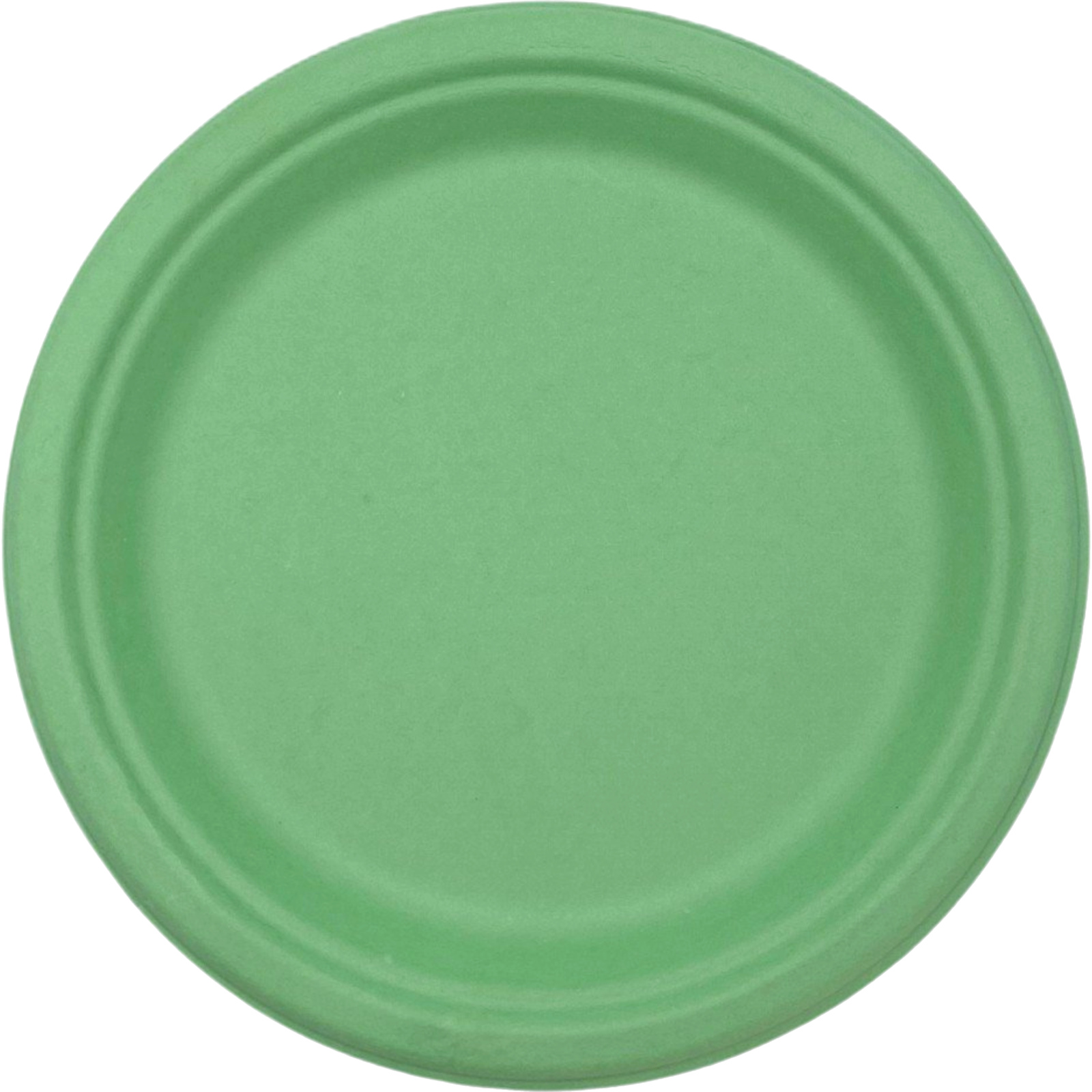 Pastel Green Sugar Cane Large Plates (Pack of 25) 